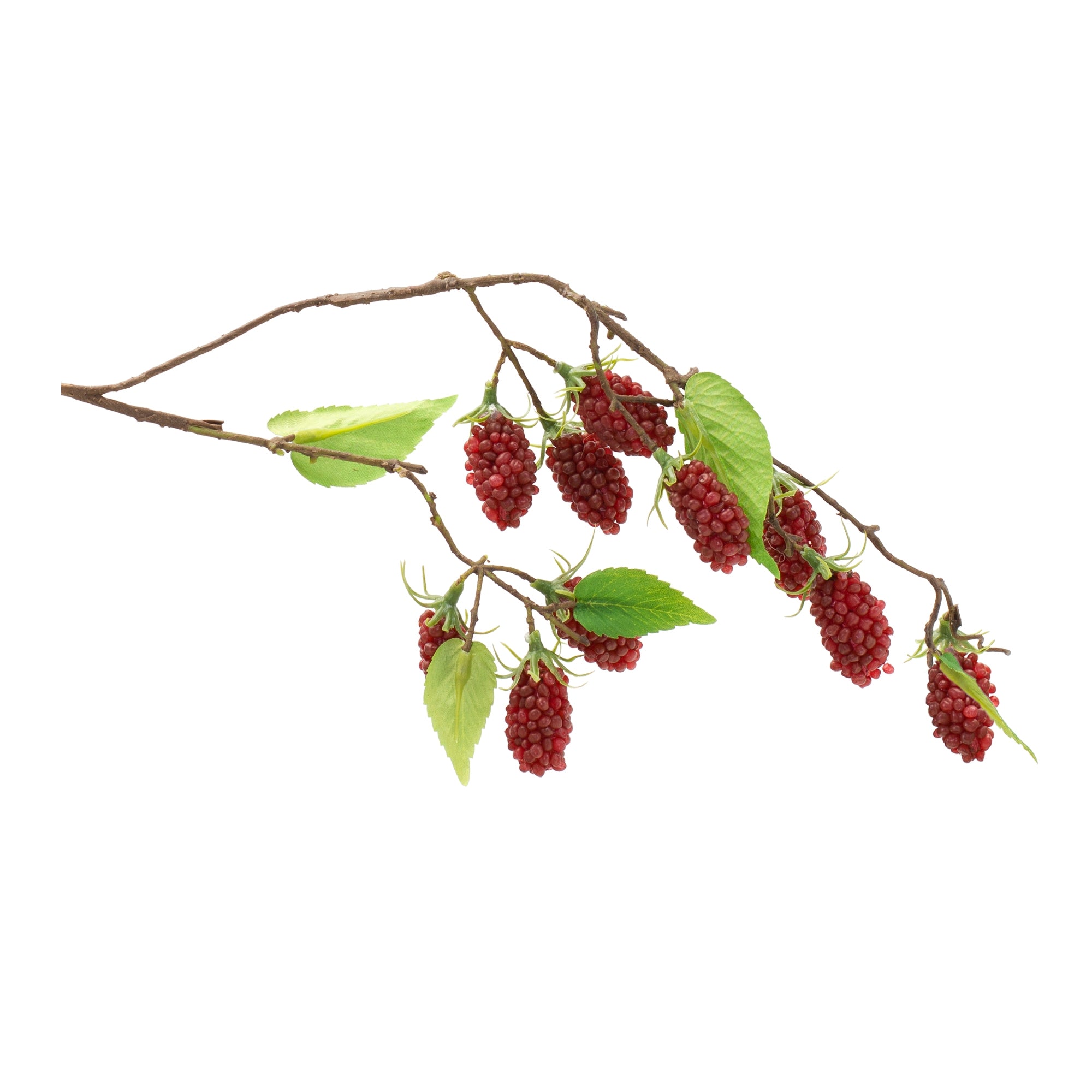Raspberry Vine 24.5”L /Polyester