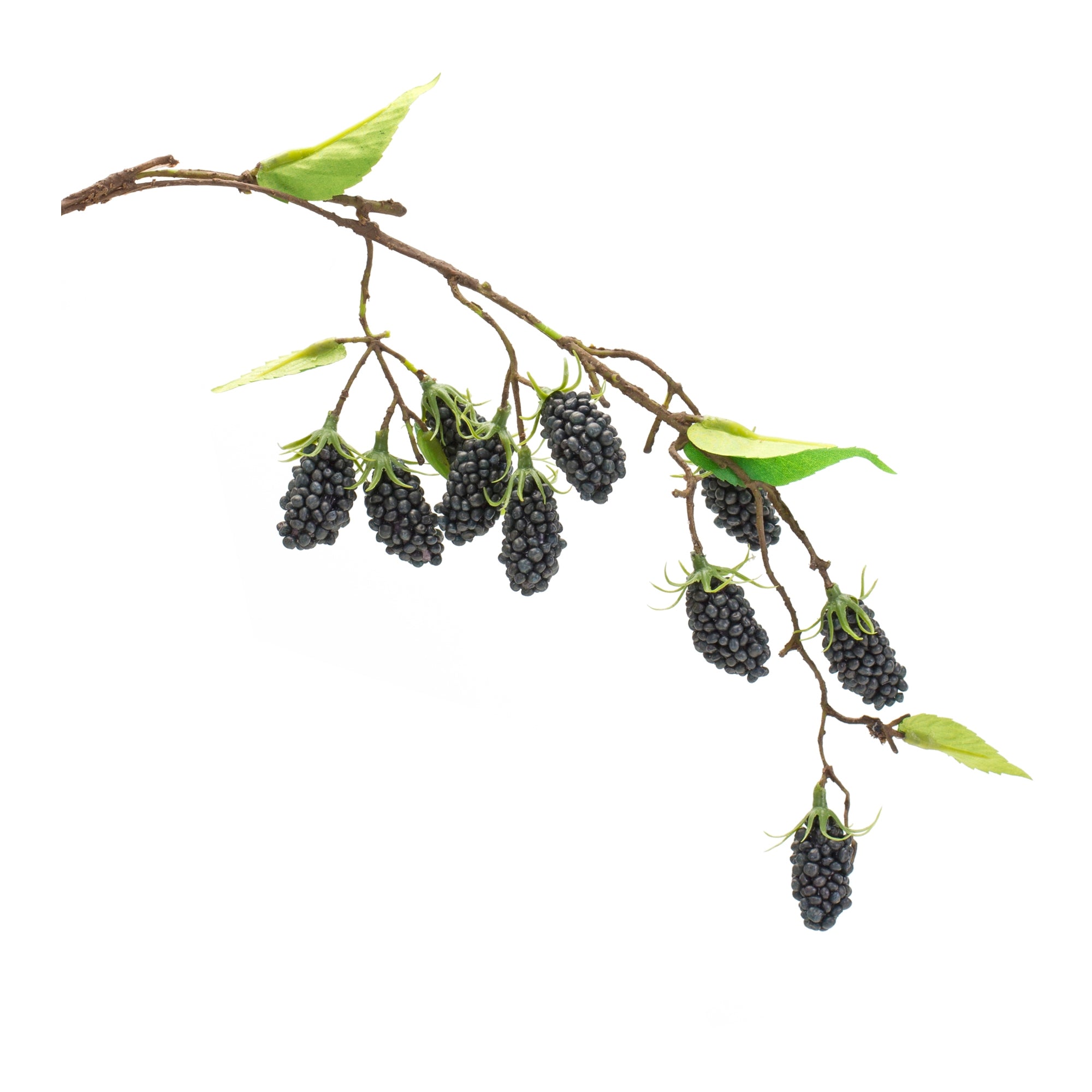 Raspberry Vine 24.5”L /Polyester