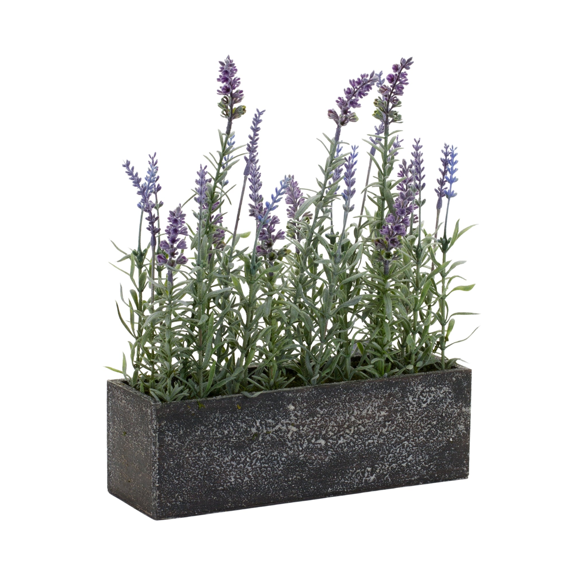 Potted Lavender 11.5"L x 14.75"H