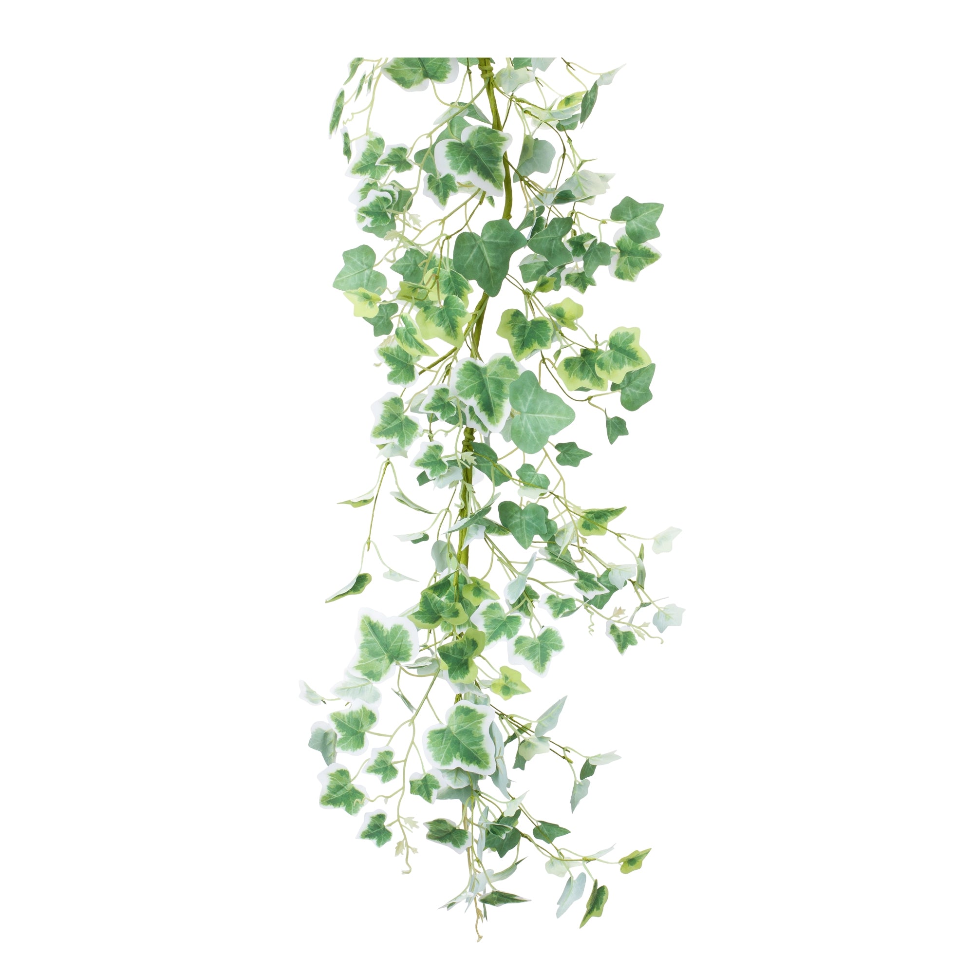 Mixed Ivy Garland 5'L Polyester