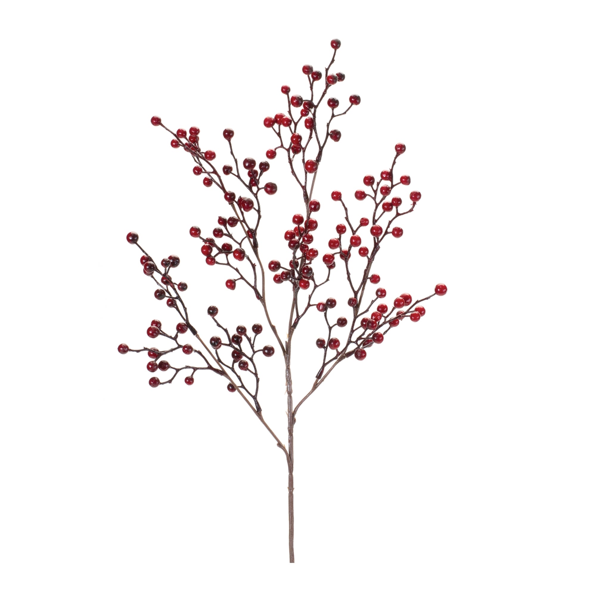 Berry Spray 38”H Foam