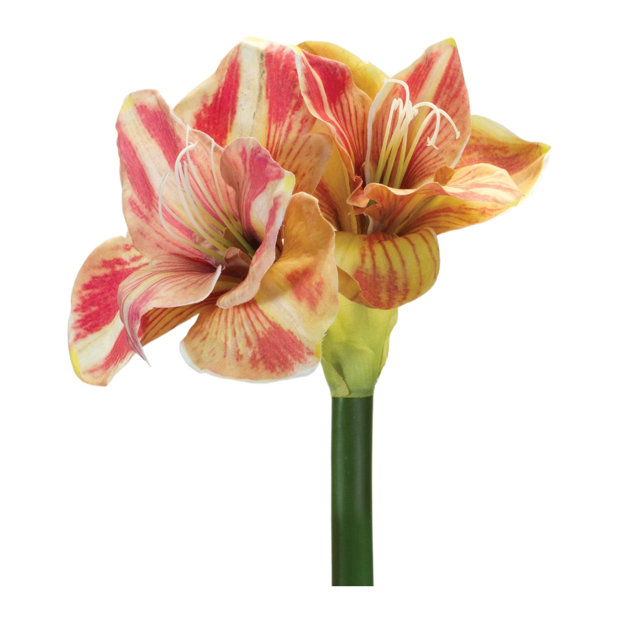 Amaryllis Stem 28.5”H Polyester