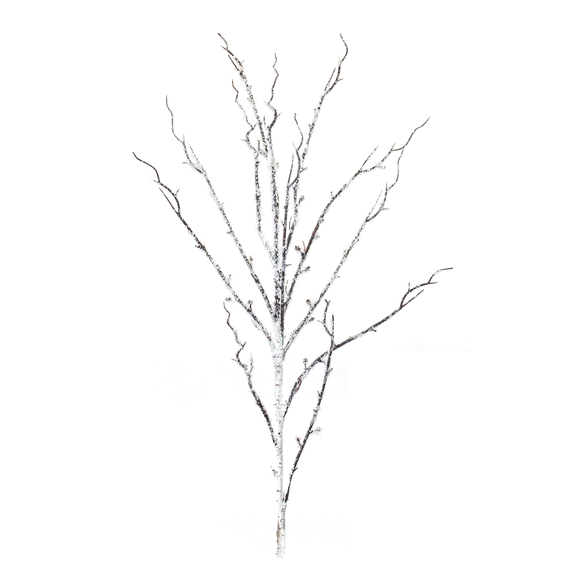 Snowy Birch Branch 34”H