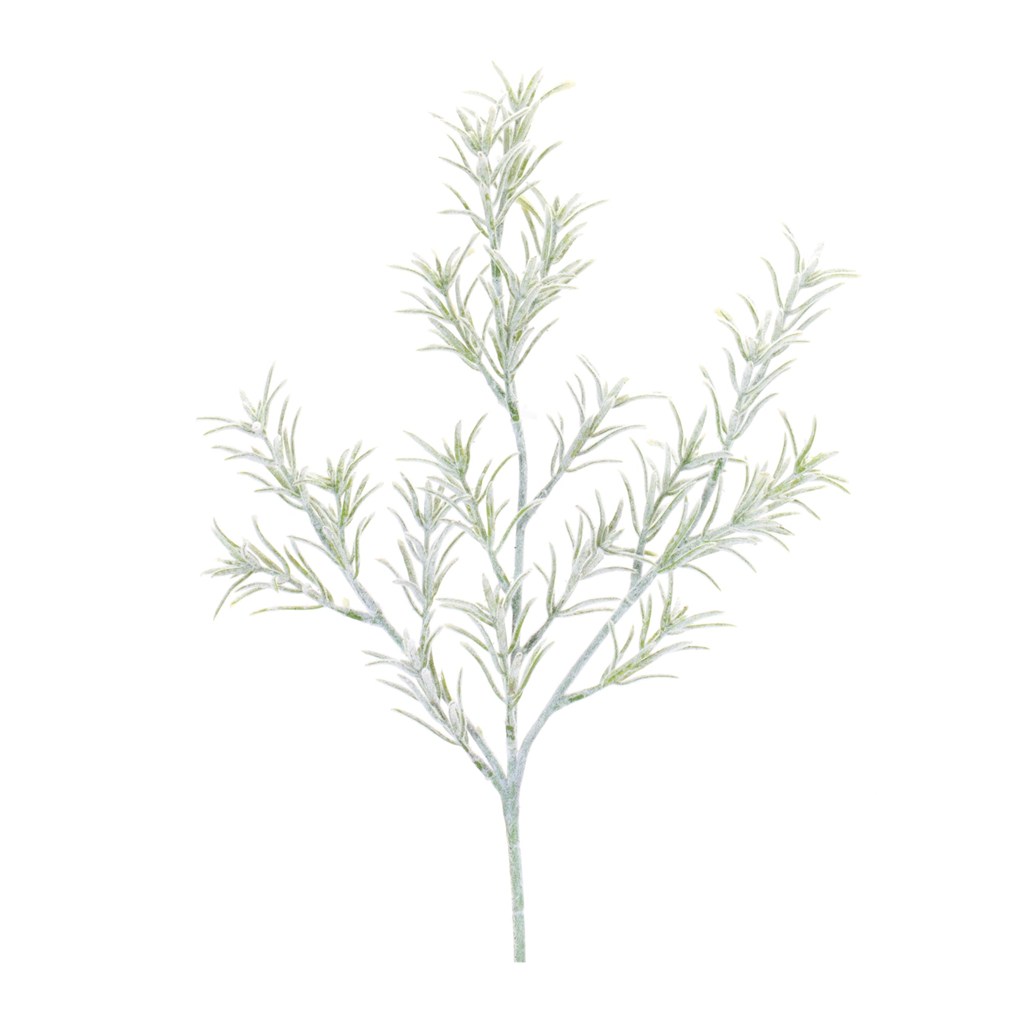 Rosemary Spray 20.5”H