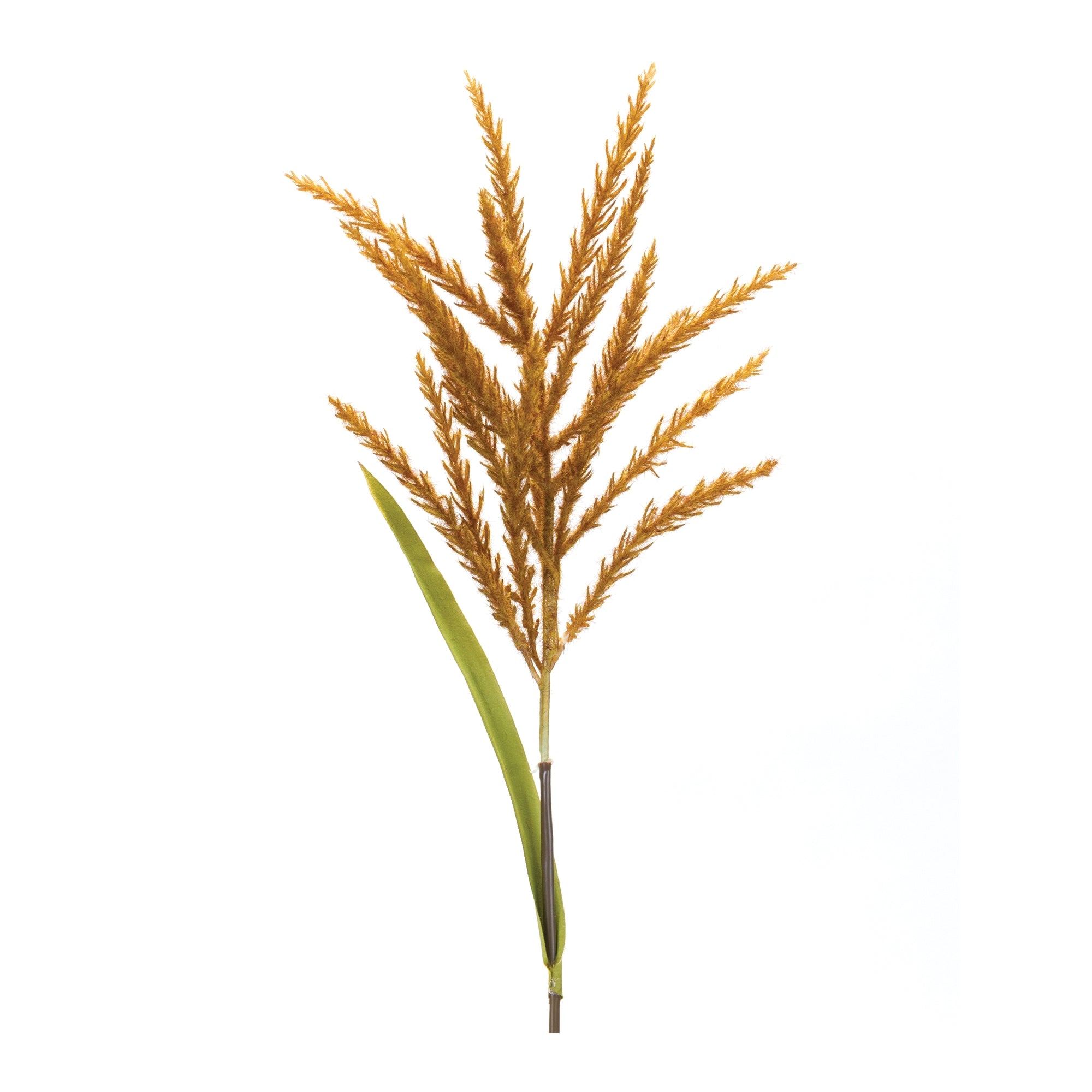 Astilbe Stem 34”H Polyester/