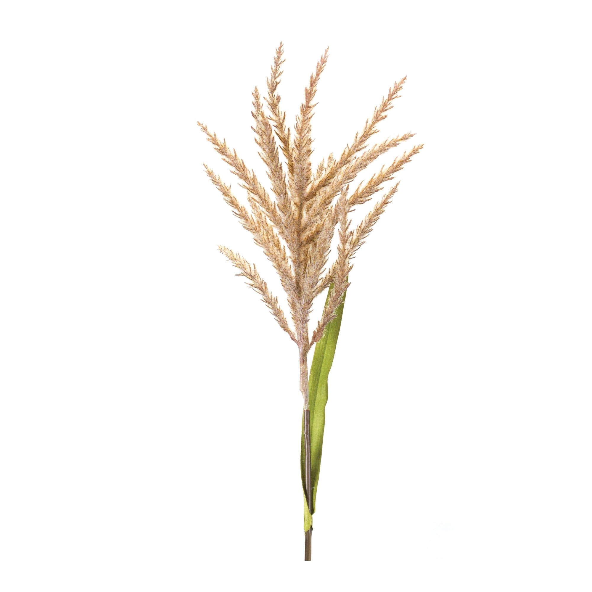 Astilbe Stem 34”H Polyester/