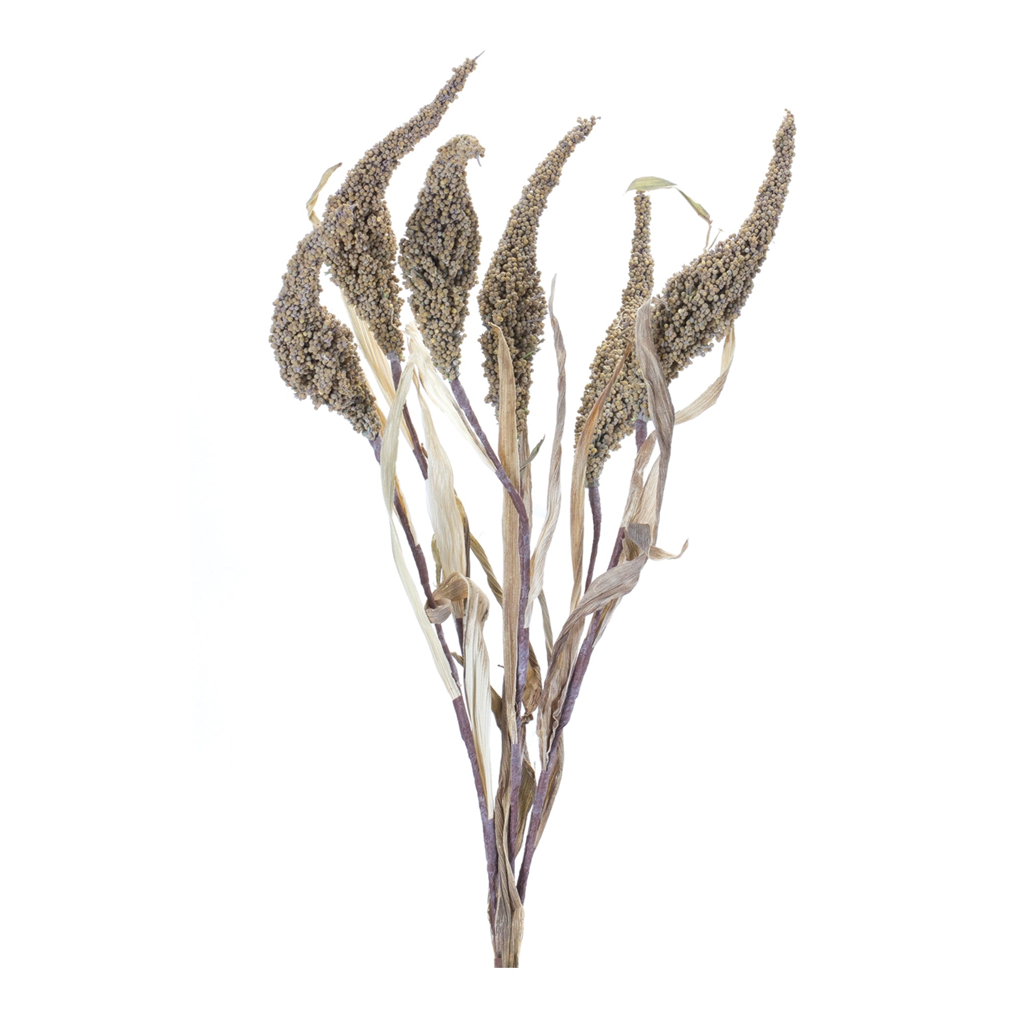Seeded Bush 23”H Polyester