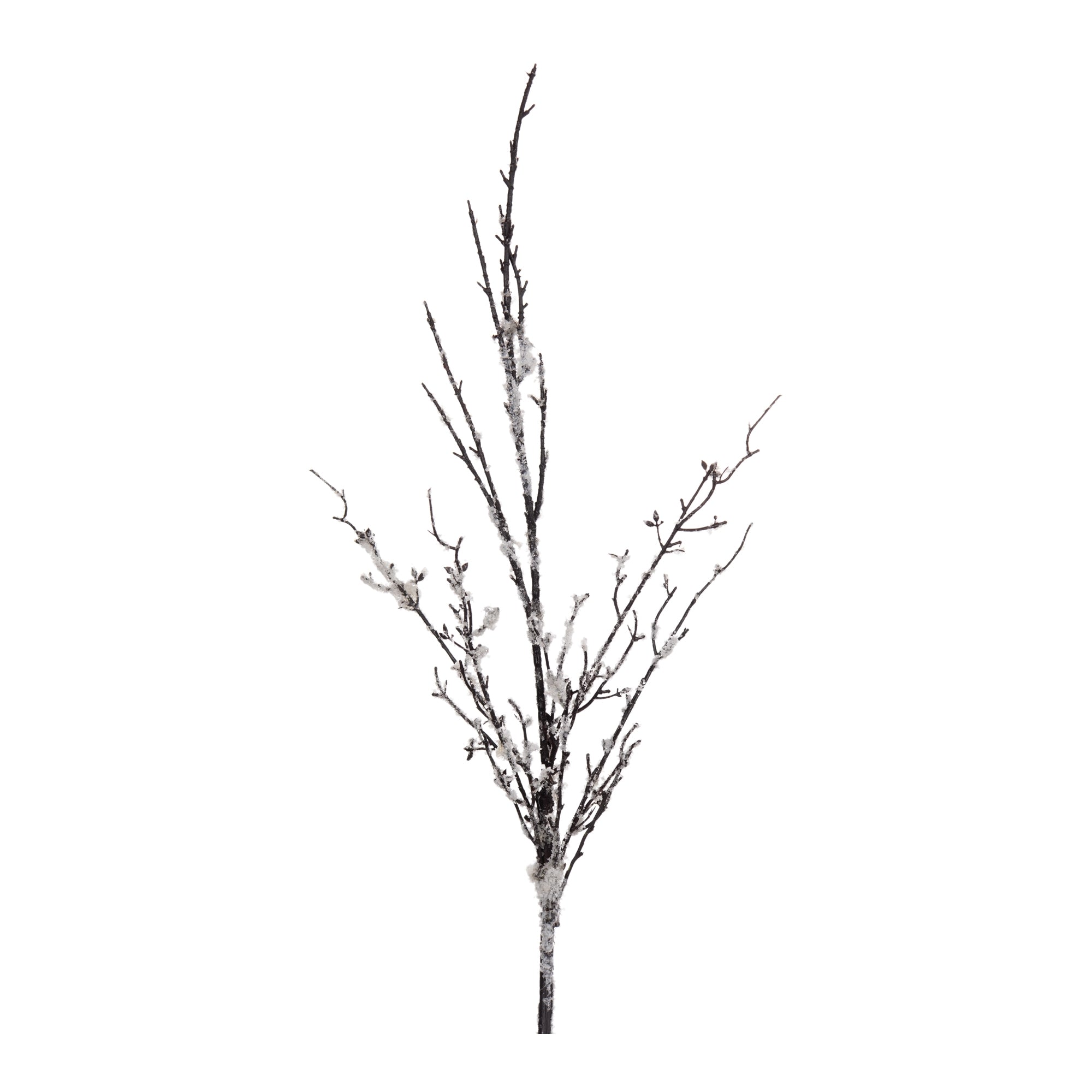Branch w/Snow 51”H