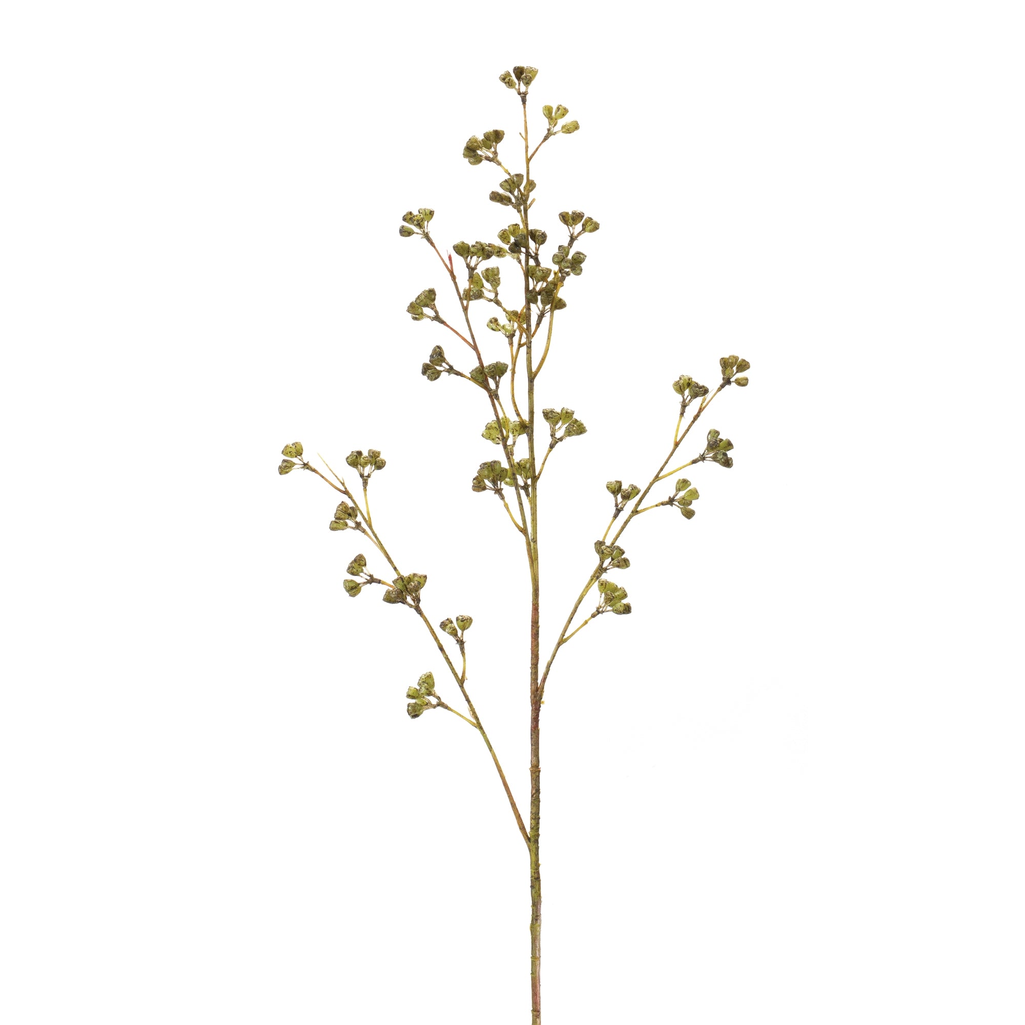 Berry Spray 31”H