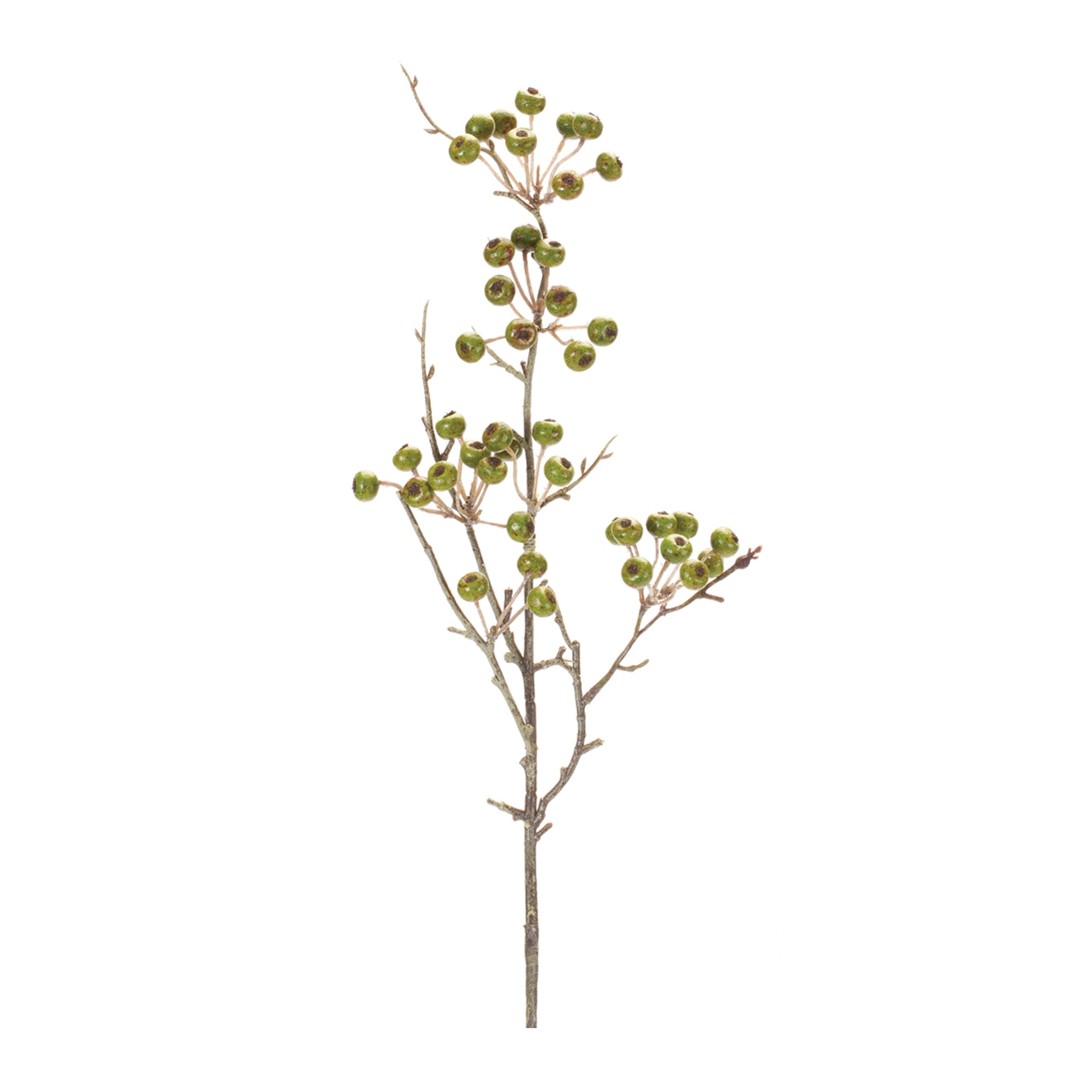 Berry Pod Spray 28”H Foam/