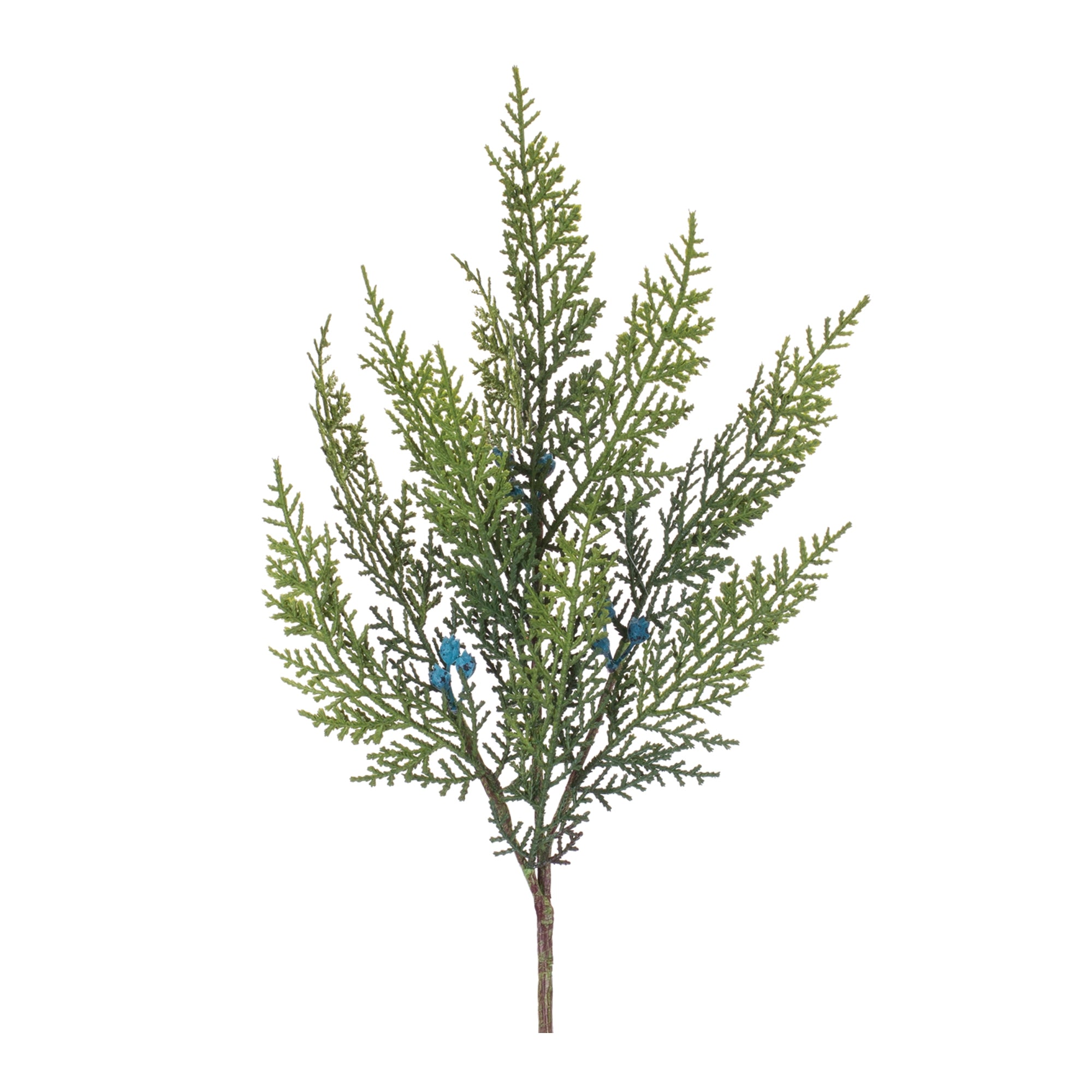 Juniper Spray 20”H