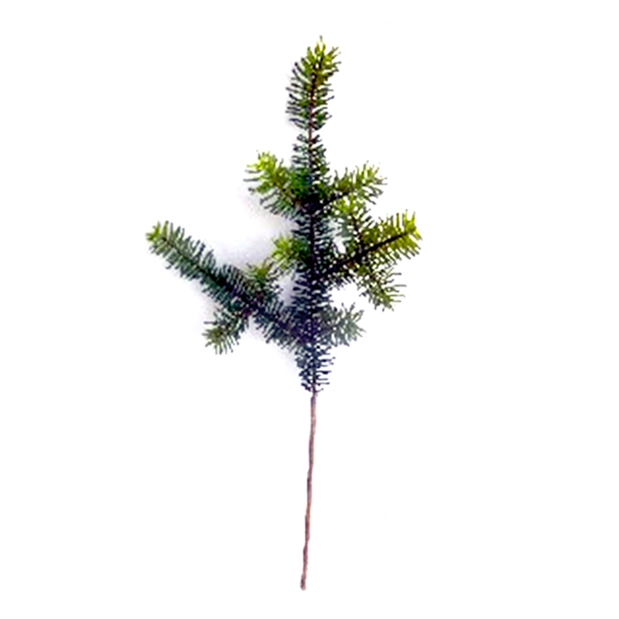 Pine Spray 28.5”H