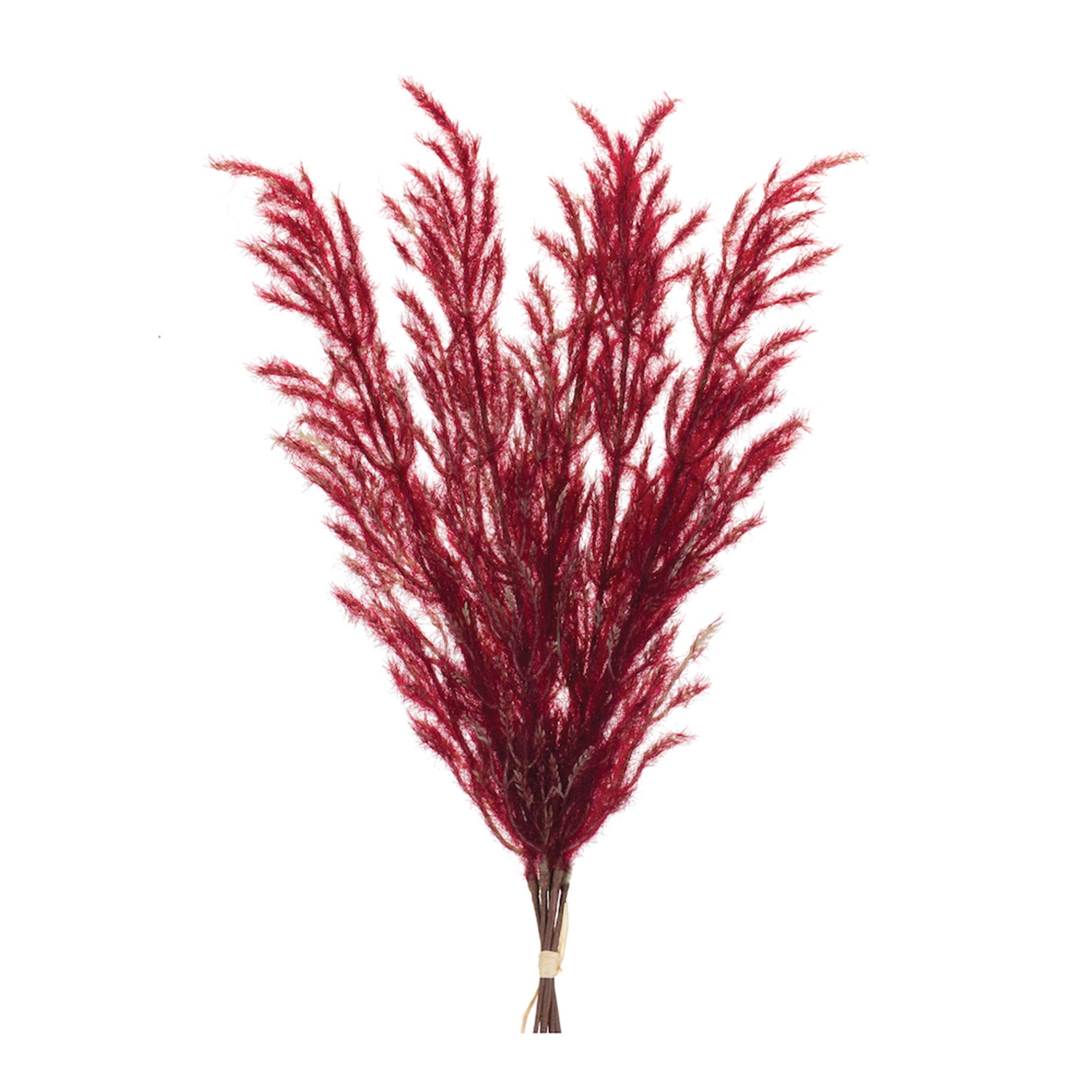 Plume Bundle 31”H
