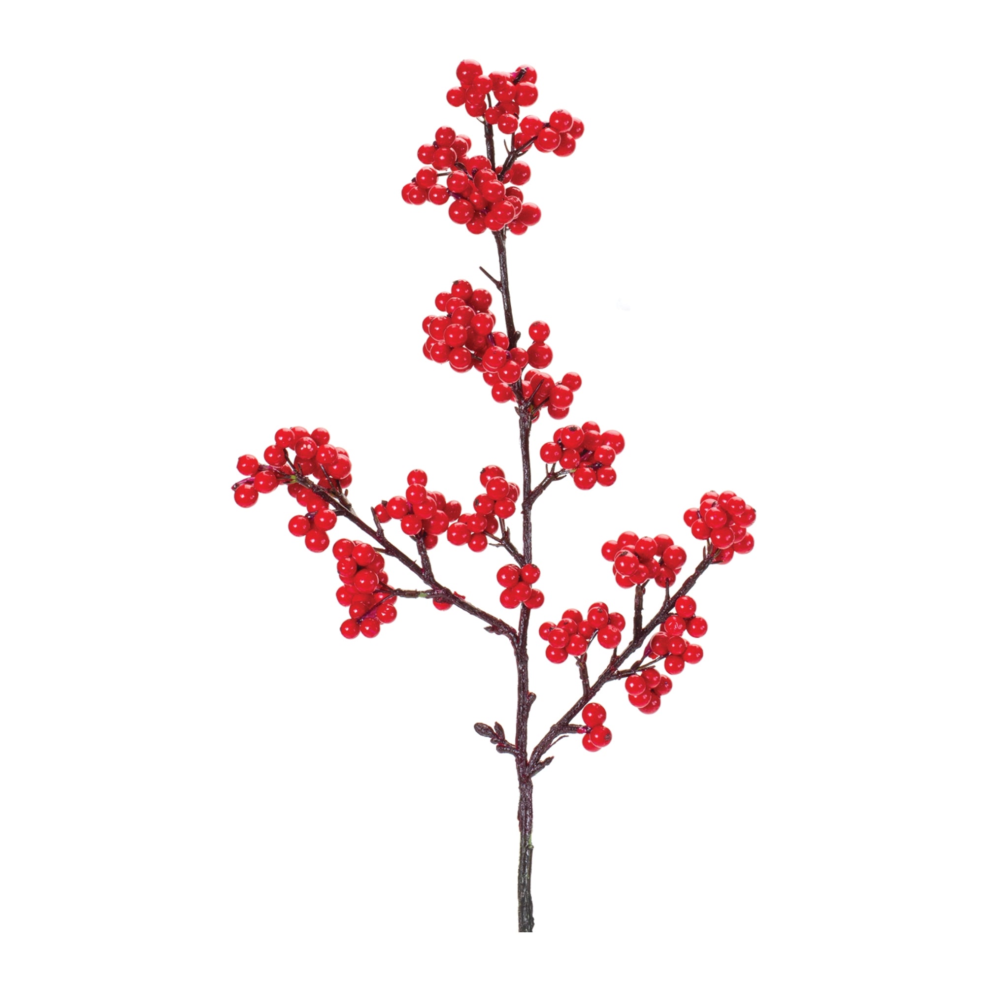 Berry Spray 23”H Foam/