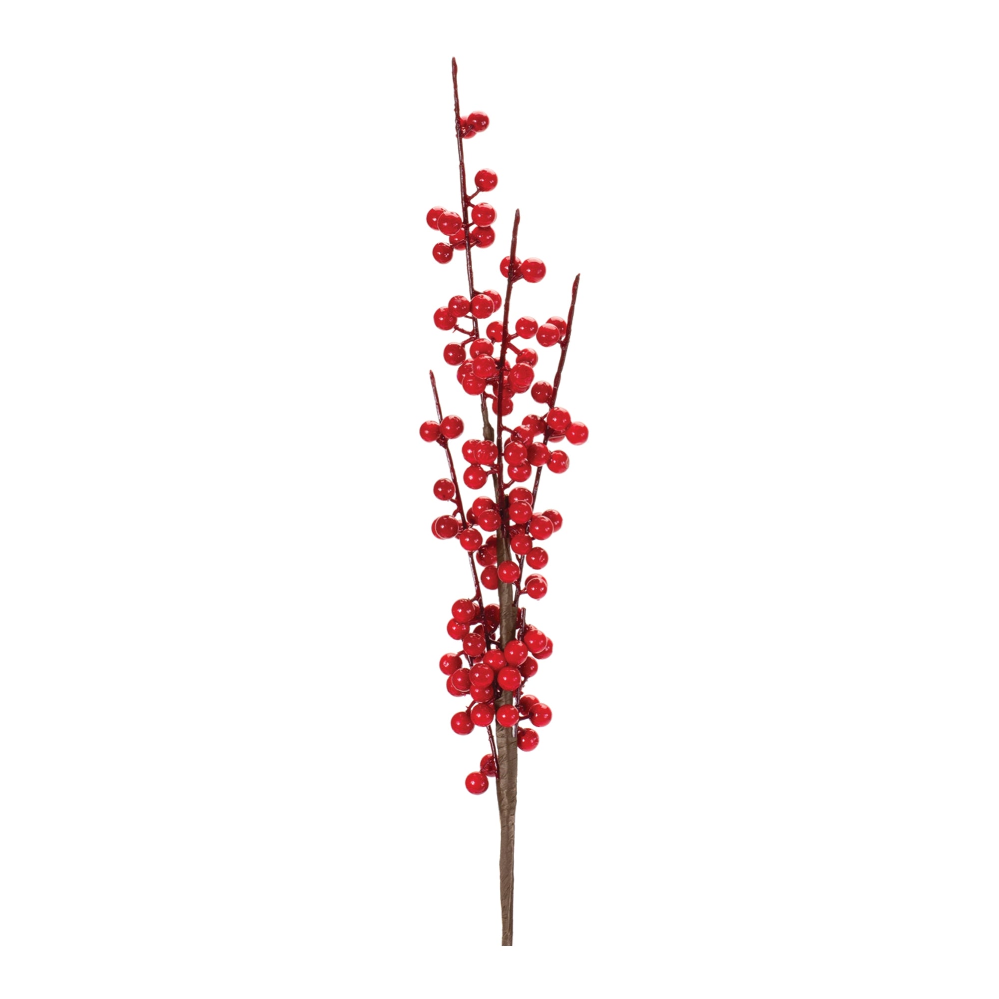 Ilex Berry Stem 27”H Foam