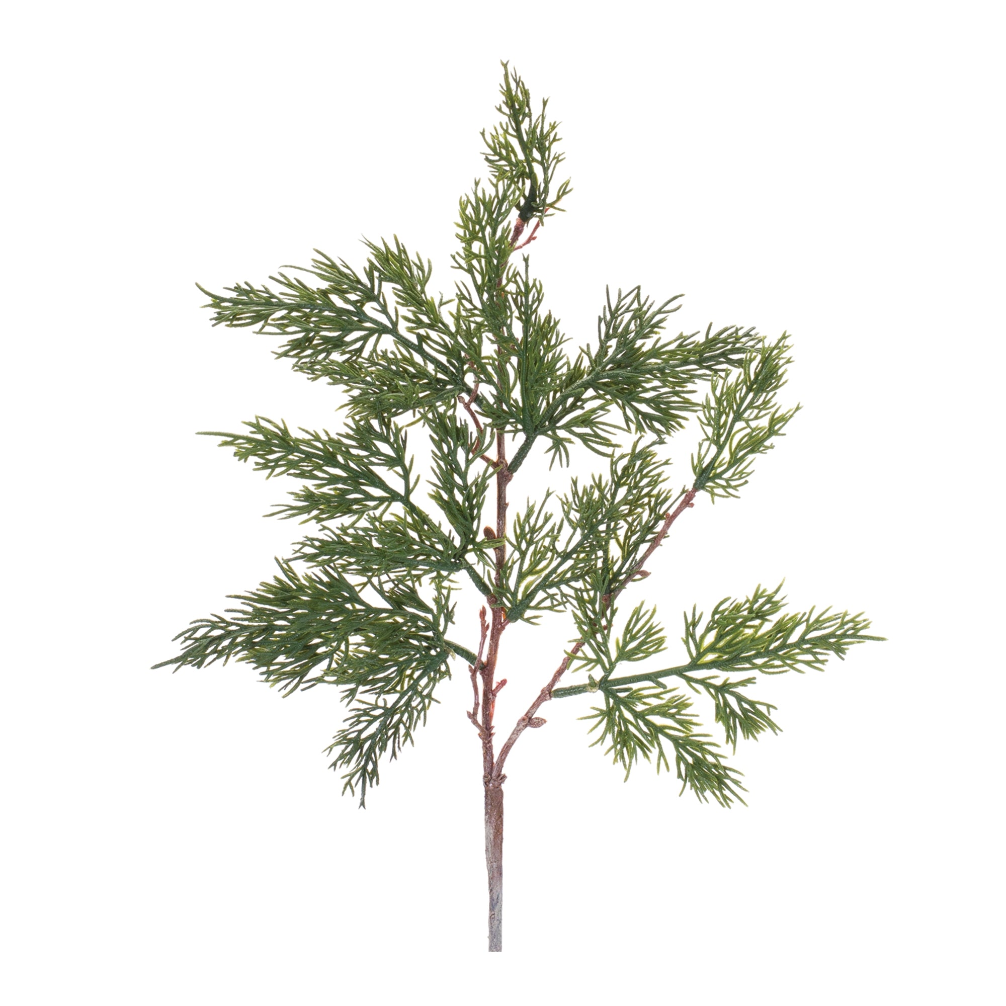 Pine Spray 19”H
