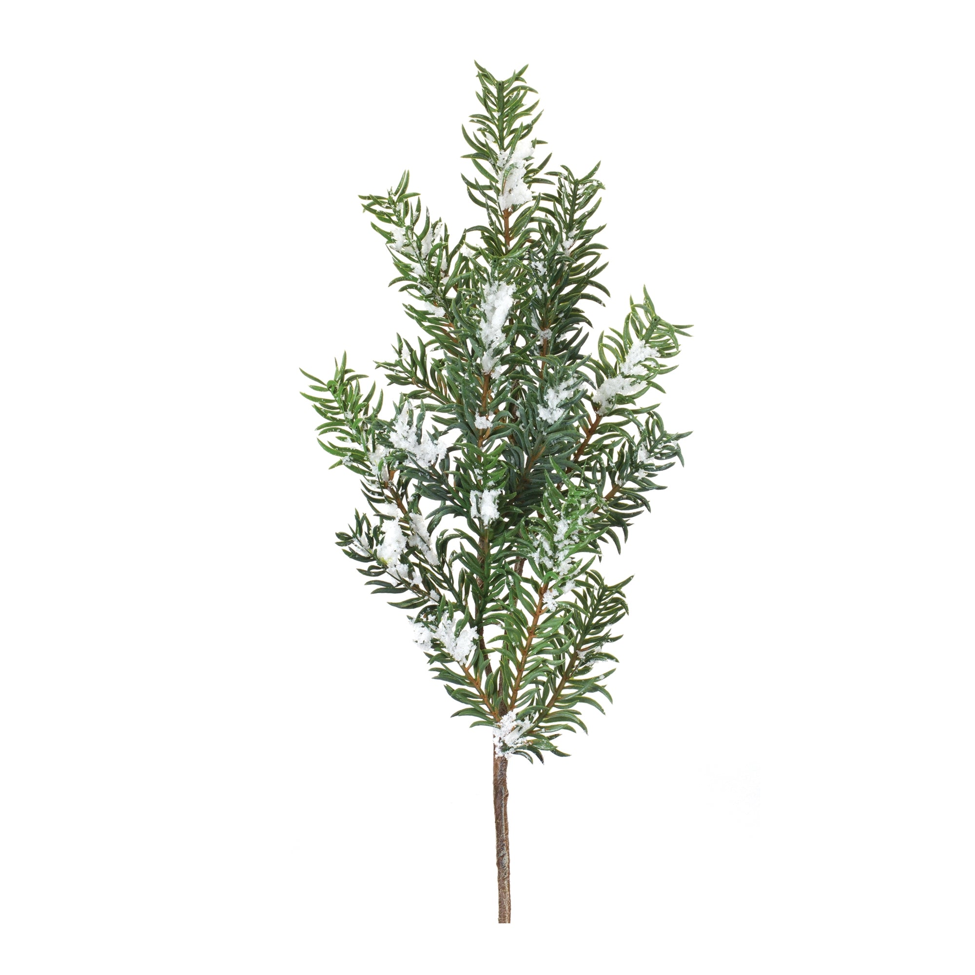 Snow Pine Spray 30”H