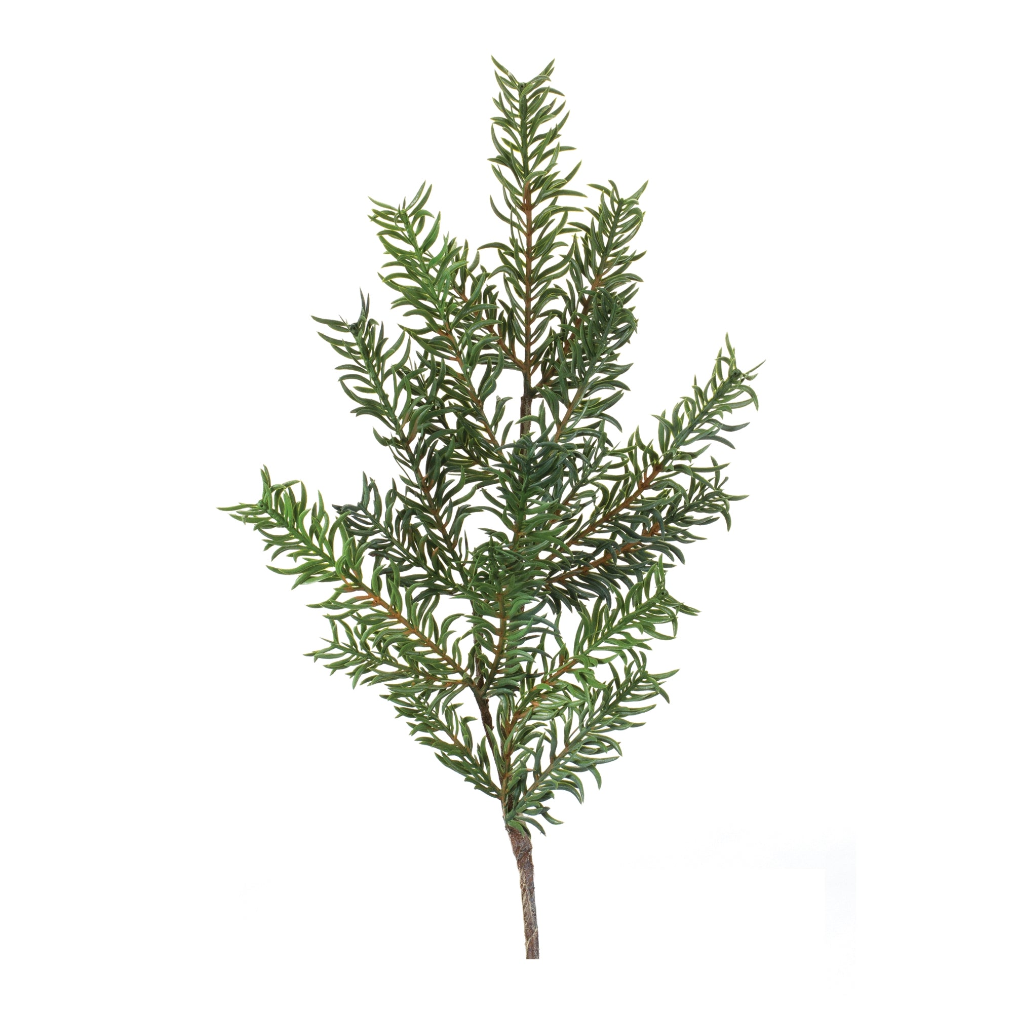 Pine Spray 29.5”H