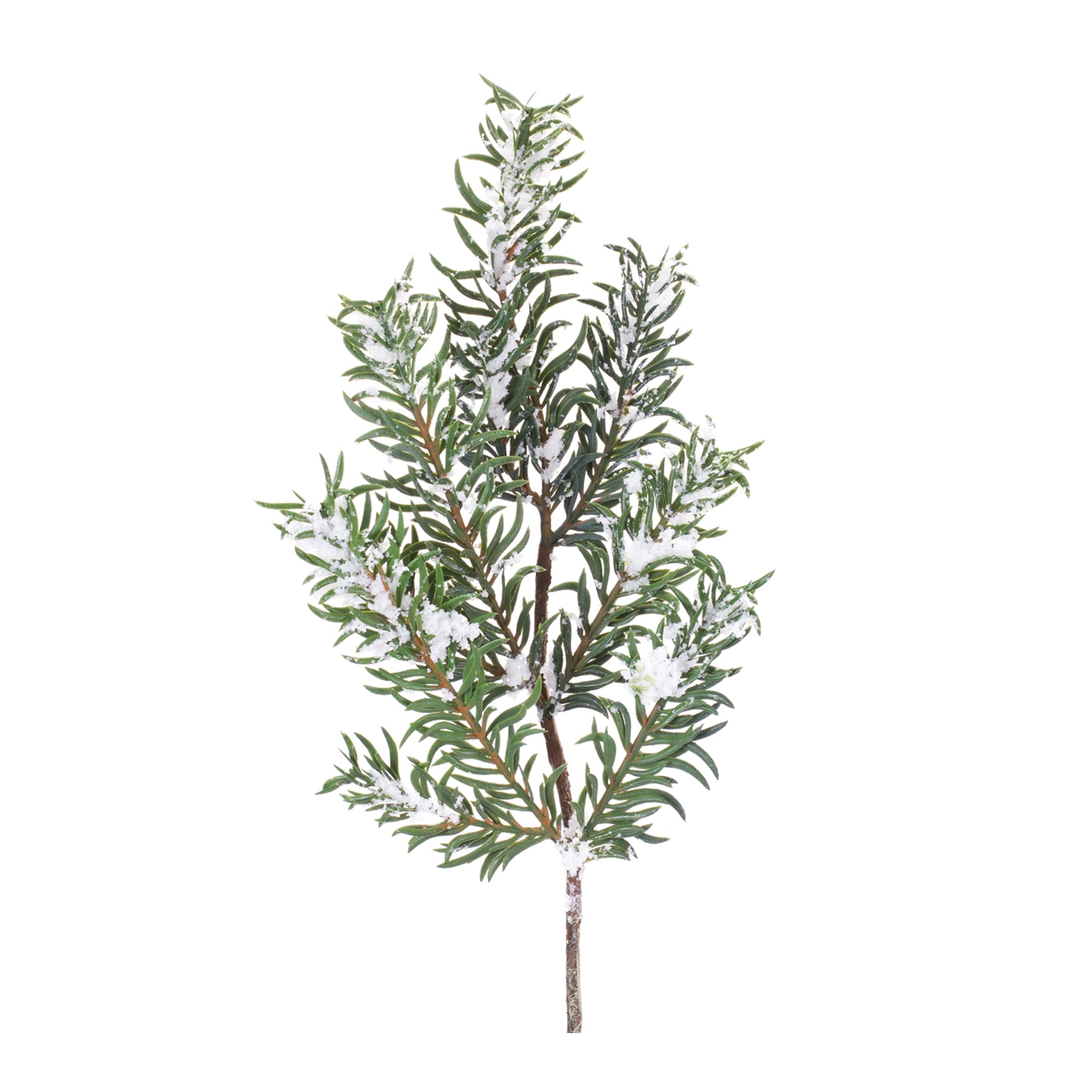 Snow Pine Spray 21”H