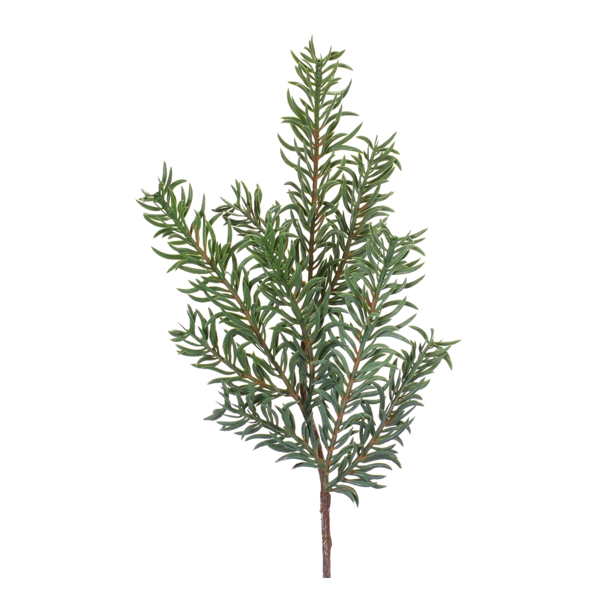 Pine Spray 21”H