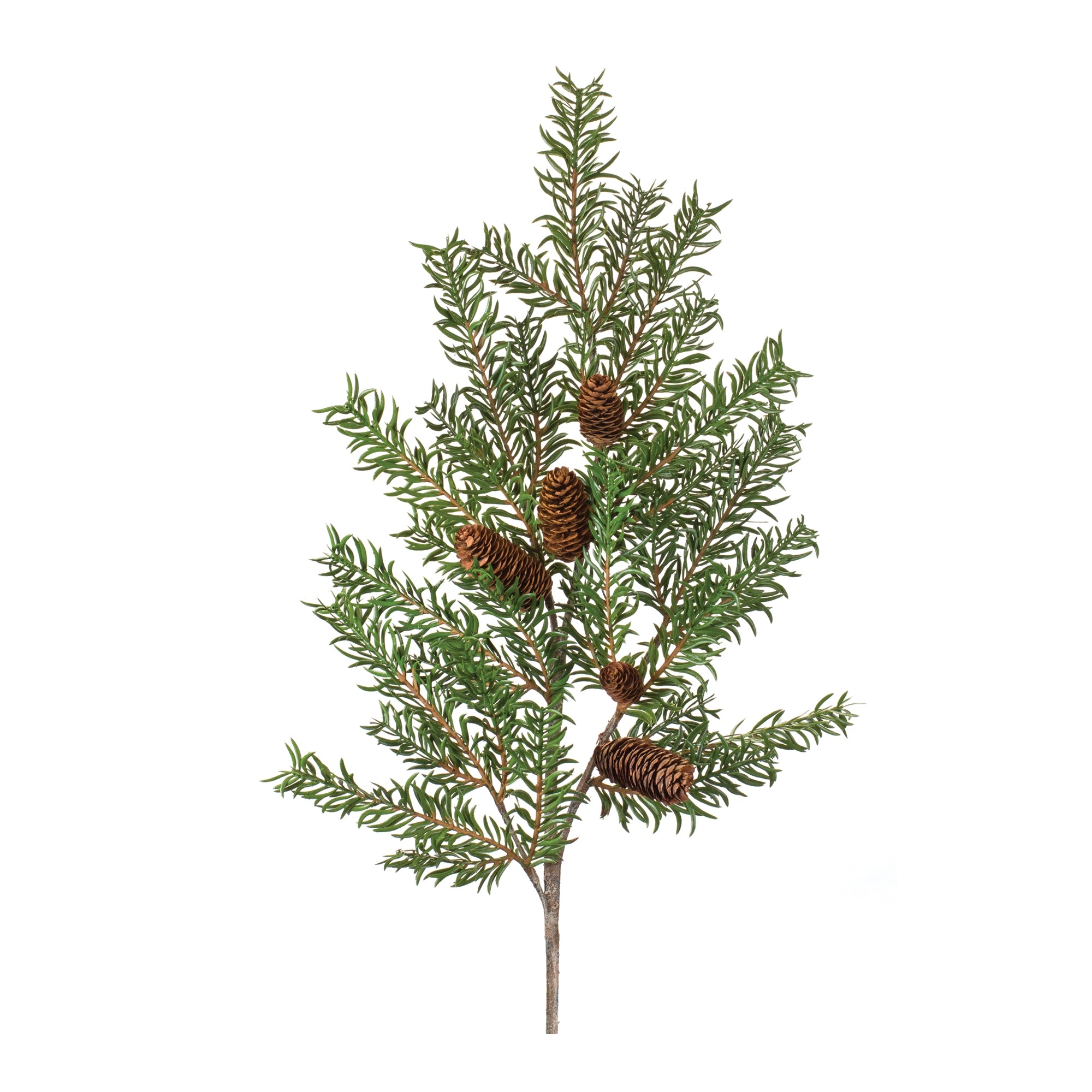 Pine Spray 39”H