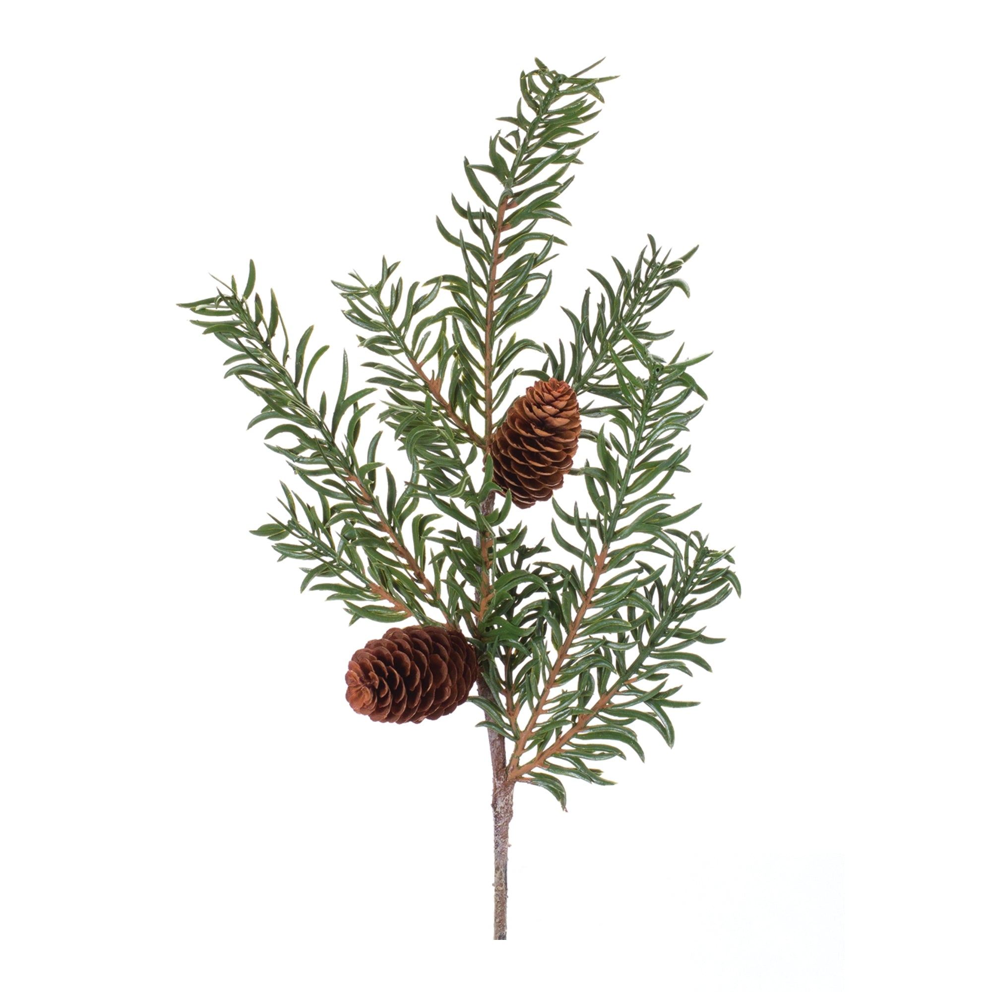 Pine Spray 21”H