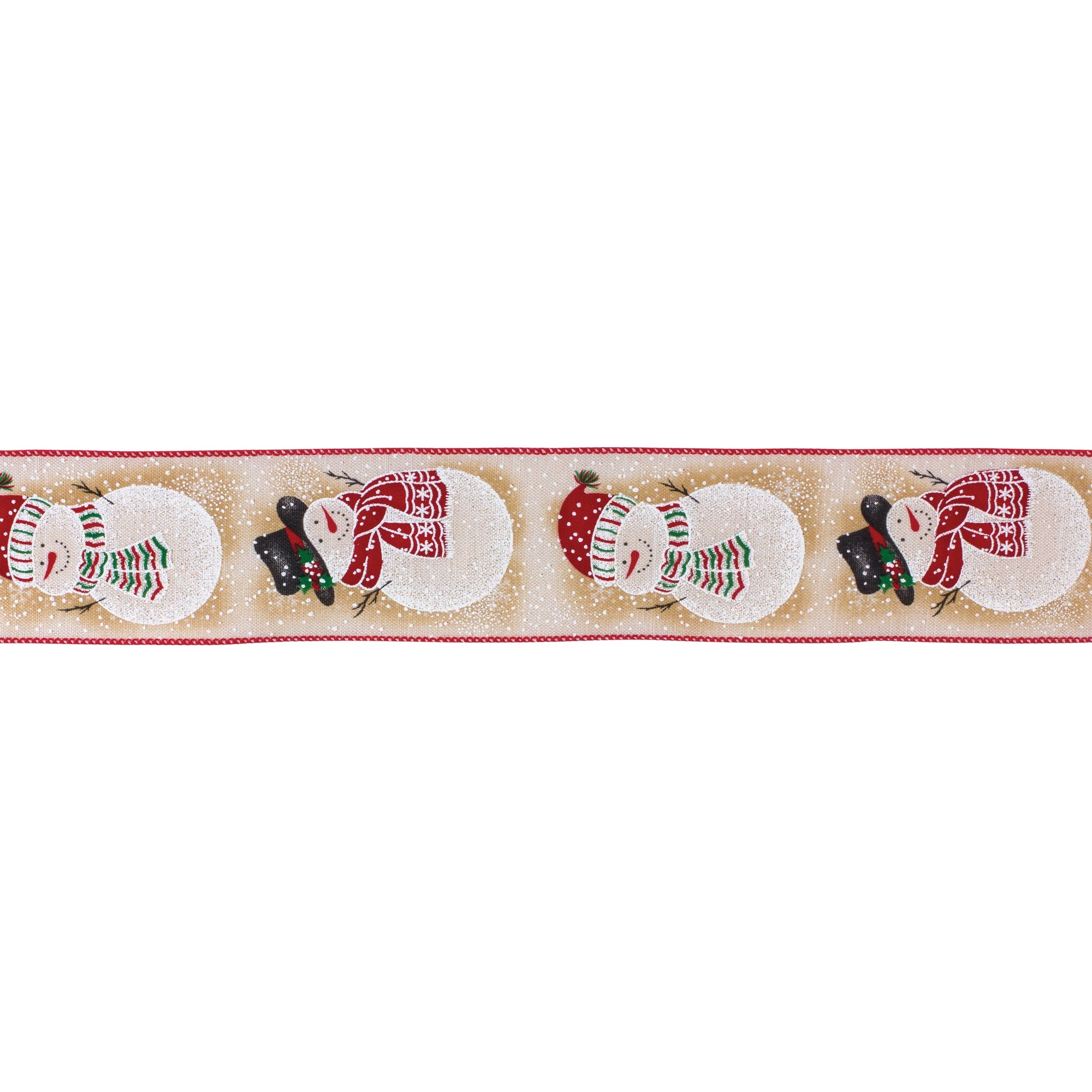 2.5” x 10 Yds. Wired Polyester
