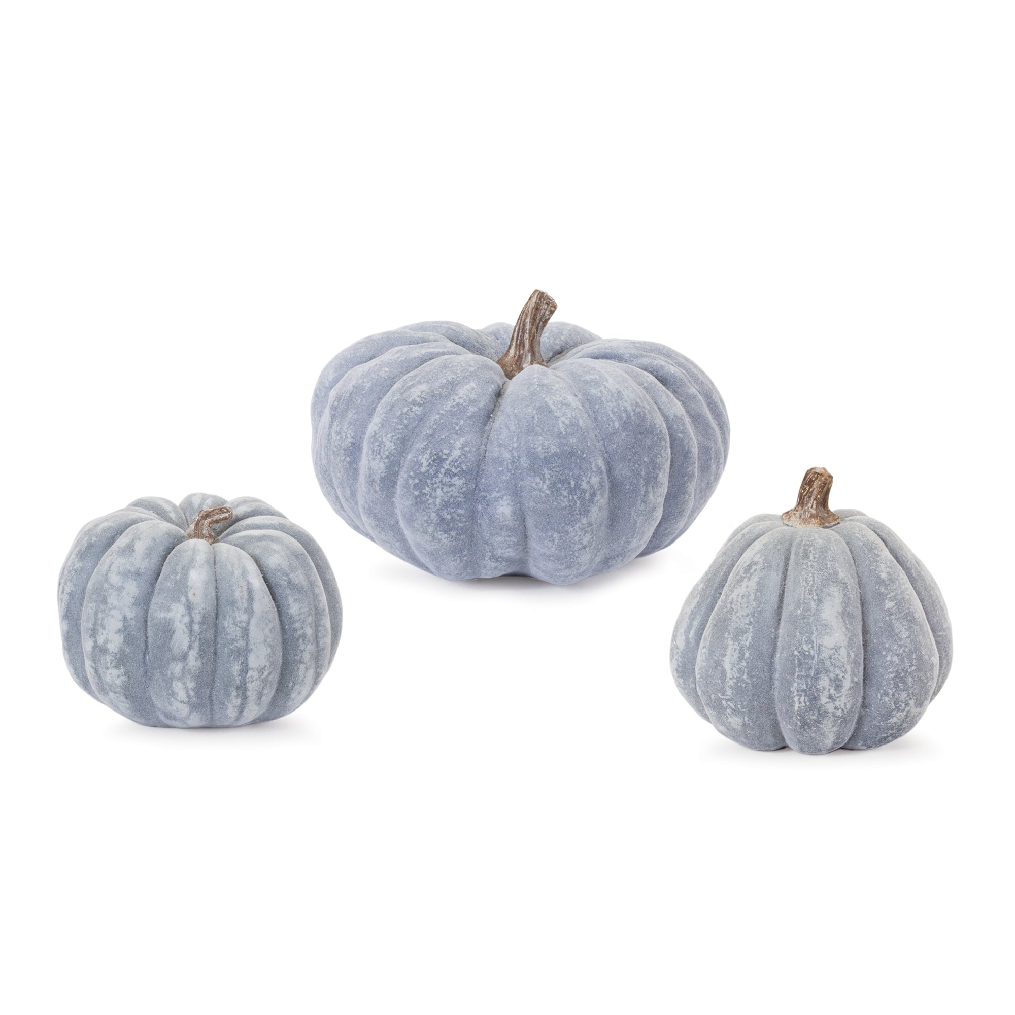 Powder Blue Pumpkins (S/3)