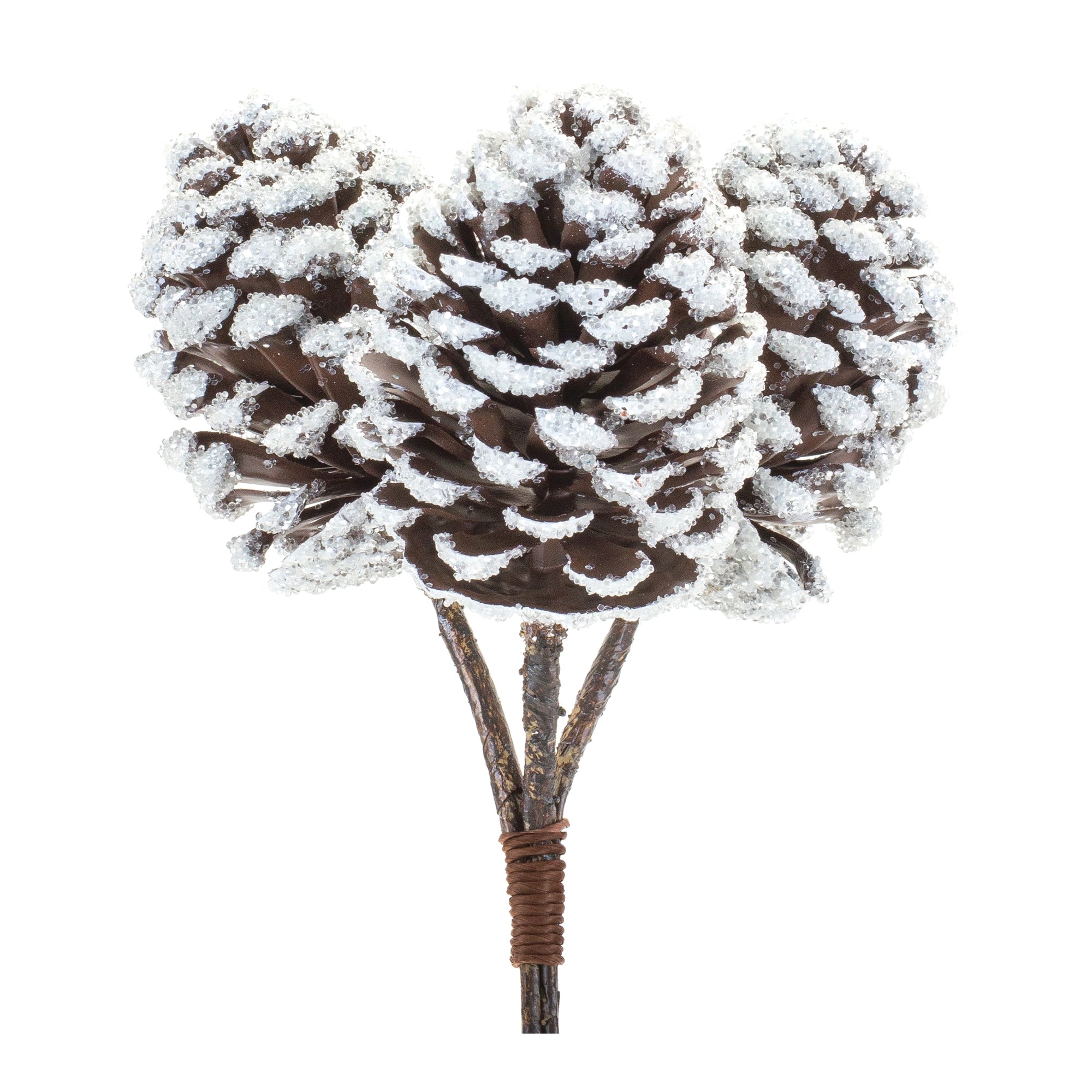 Pine Cone Bundle 11”H