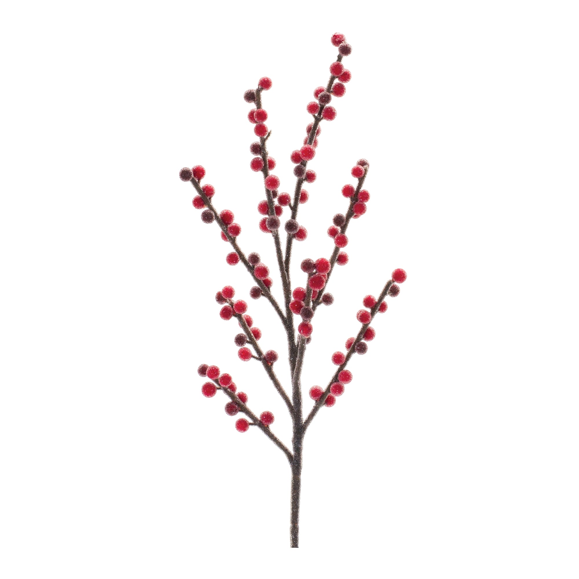 Berry Spray 24”H