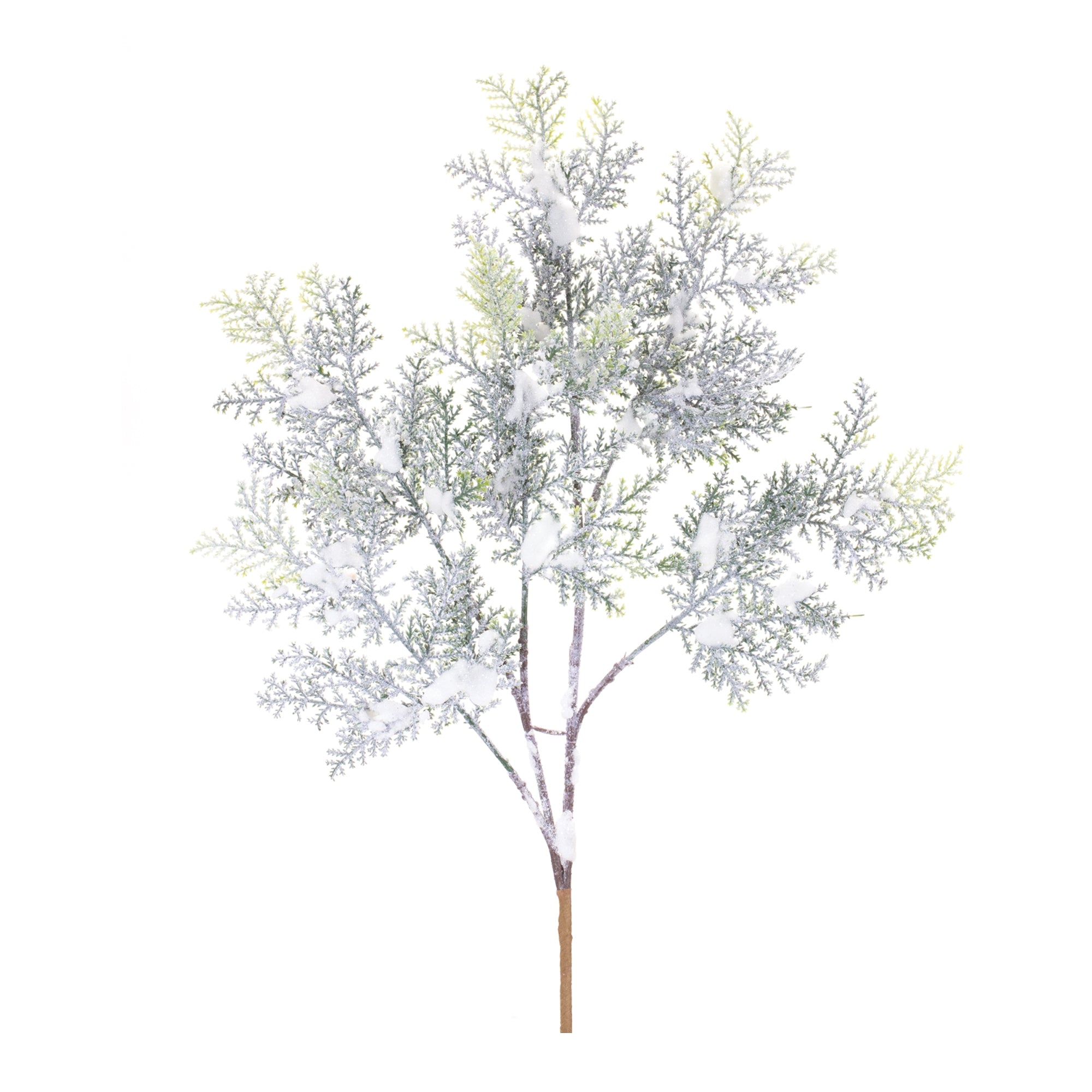 Snowy Cedar Branch 21”H