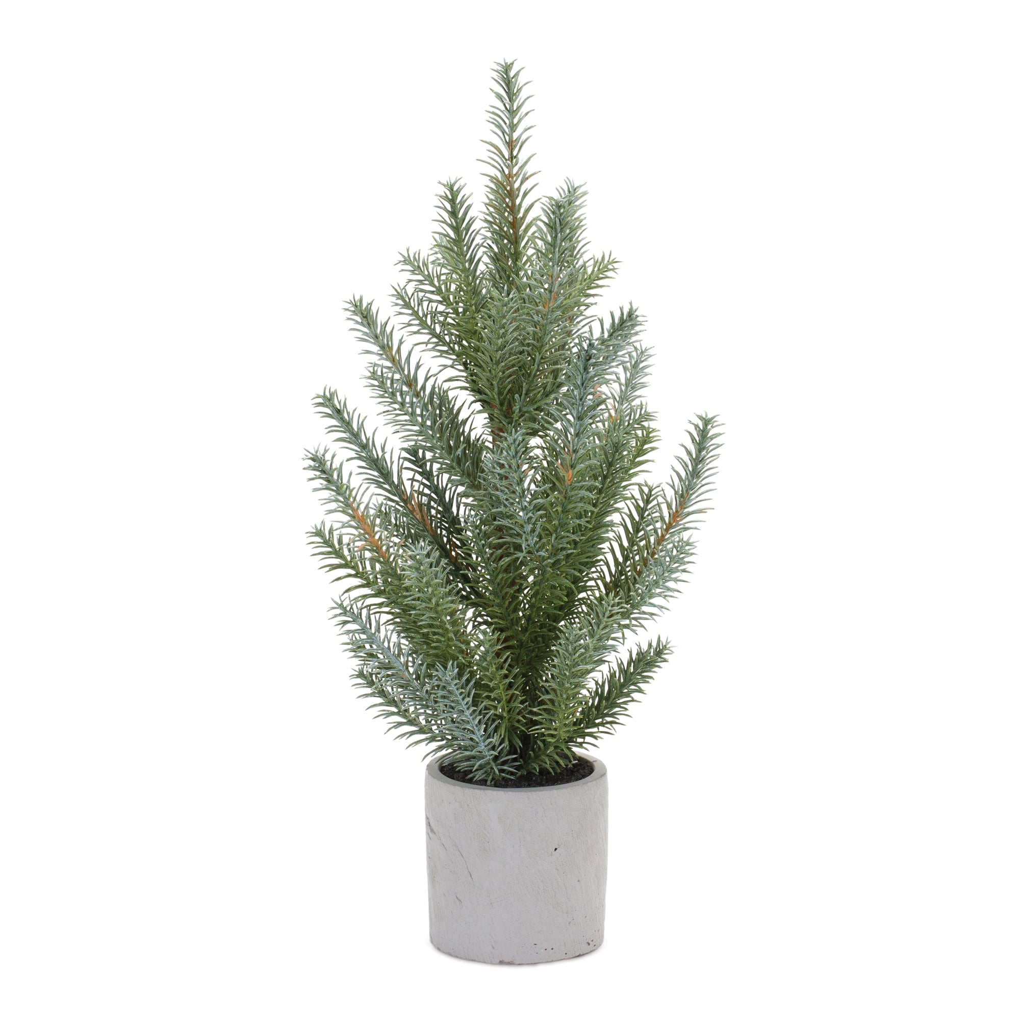 Potted Pine Tree 18”H