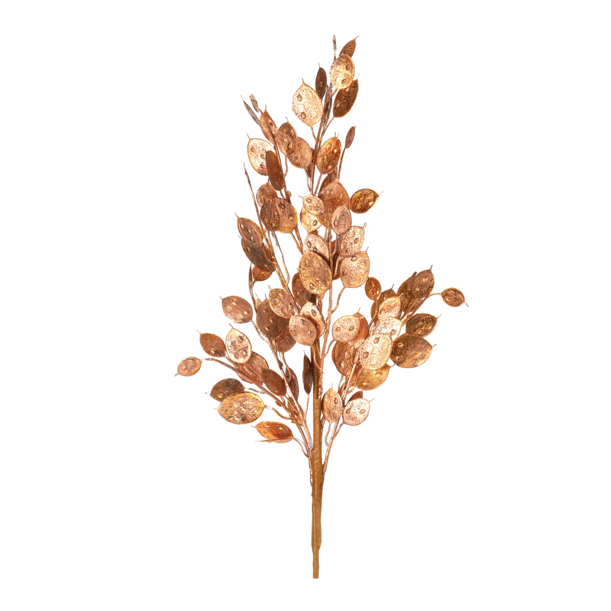 Silver Dollar Bush 26”H