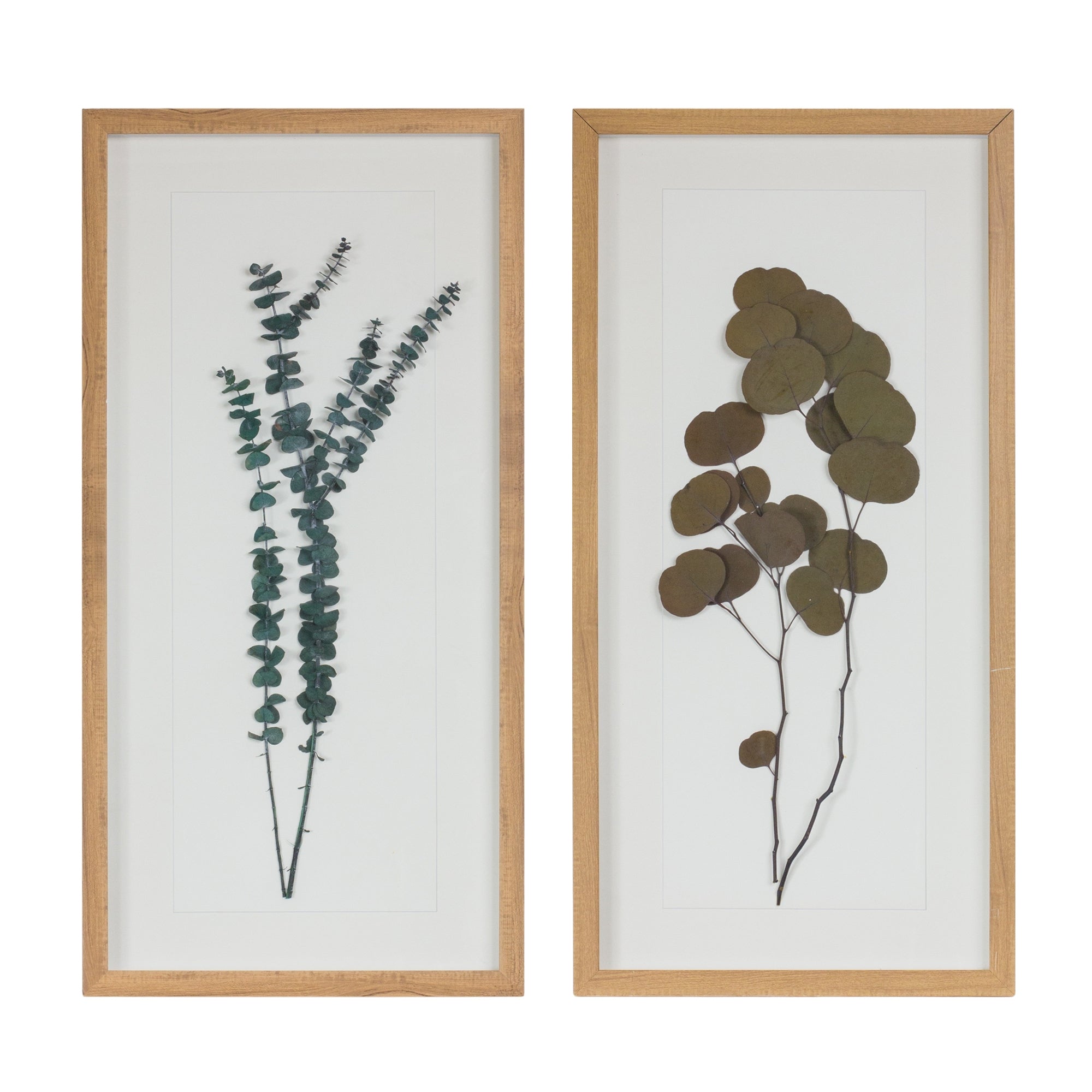 Framed Foliage (2 Asst) 14"L x 27.5"H Wood/Paper