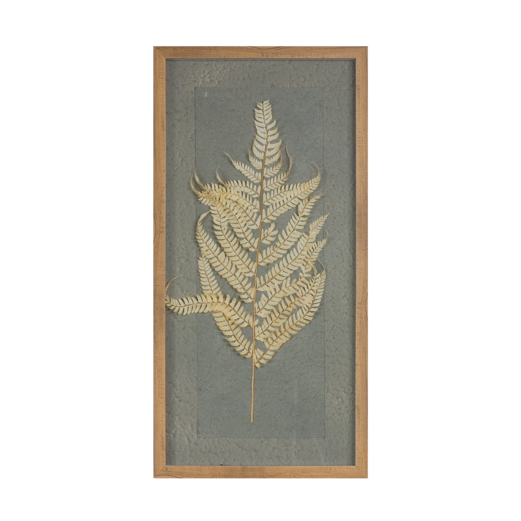 Framed Fern 14"L x 27.5"H Wood/Paper