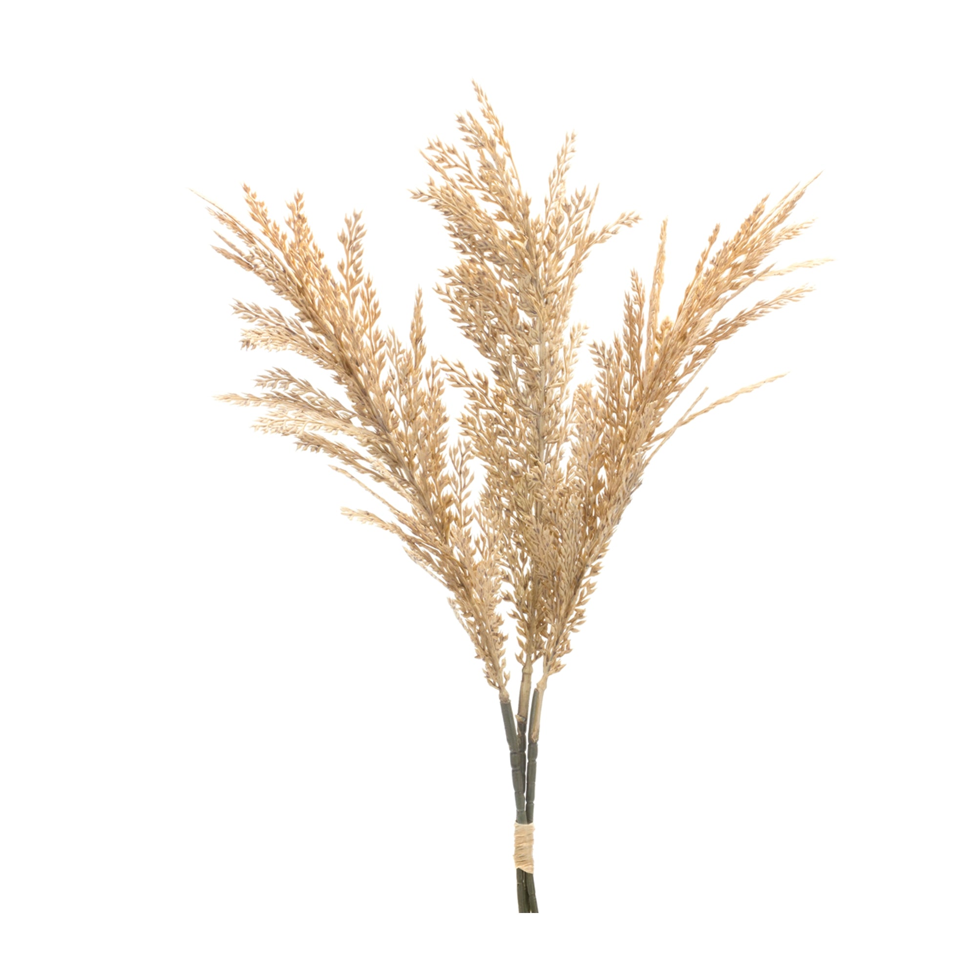 Plume Bundle 26”H