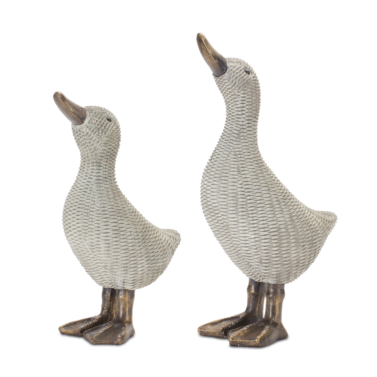 Duck (S/2)