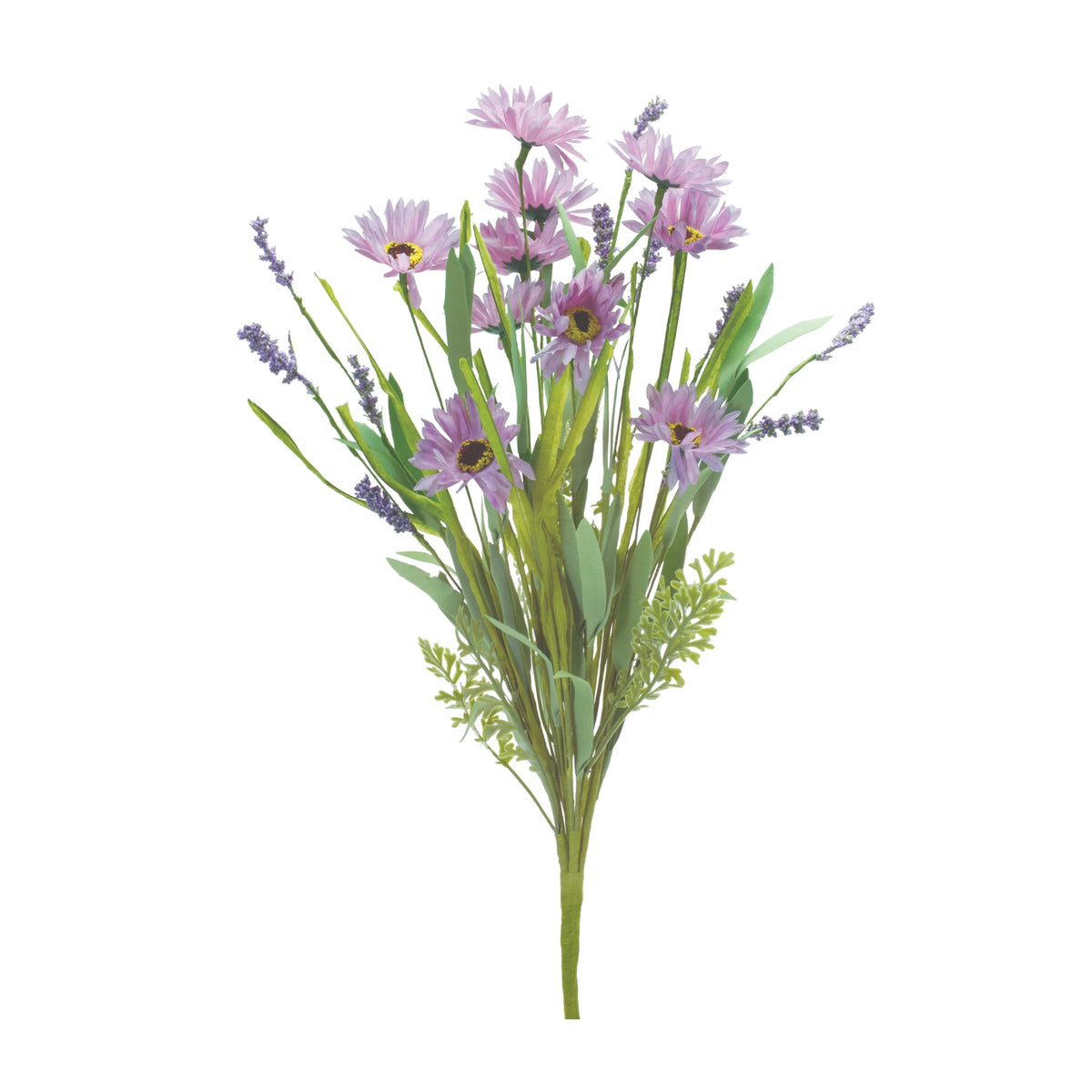 Mixed Daisy Bush
