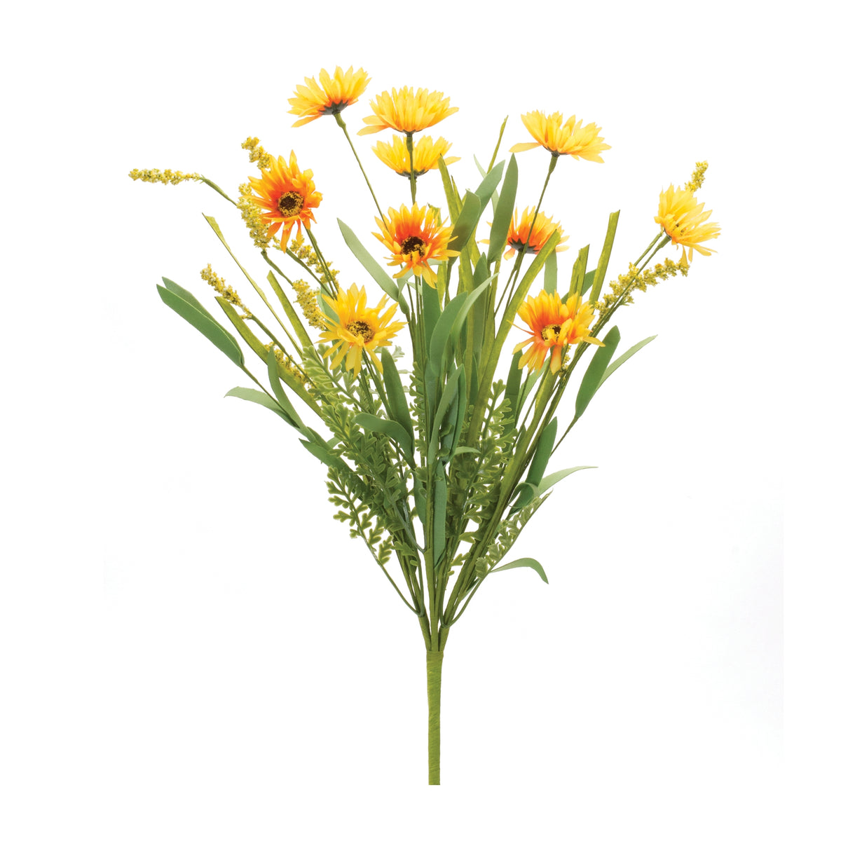 Mixed Daisy Bush