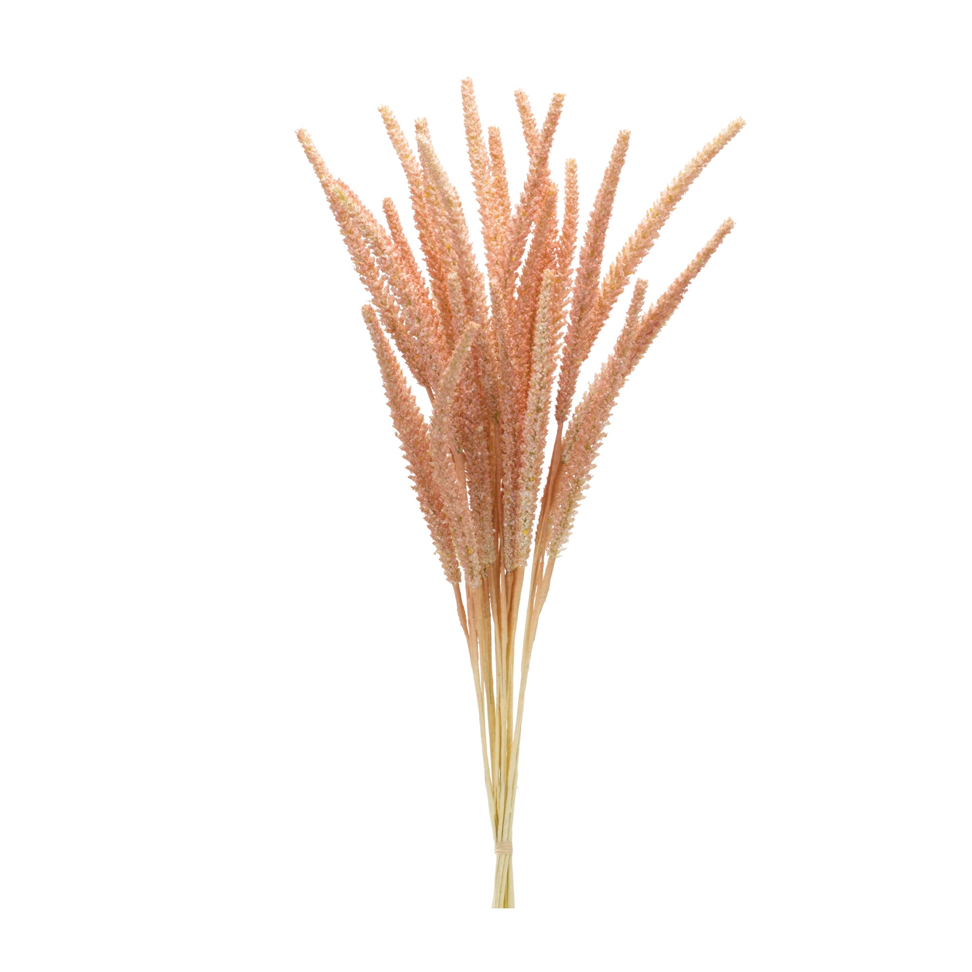 Foxtail Bundle 22”H