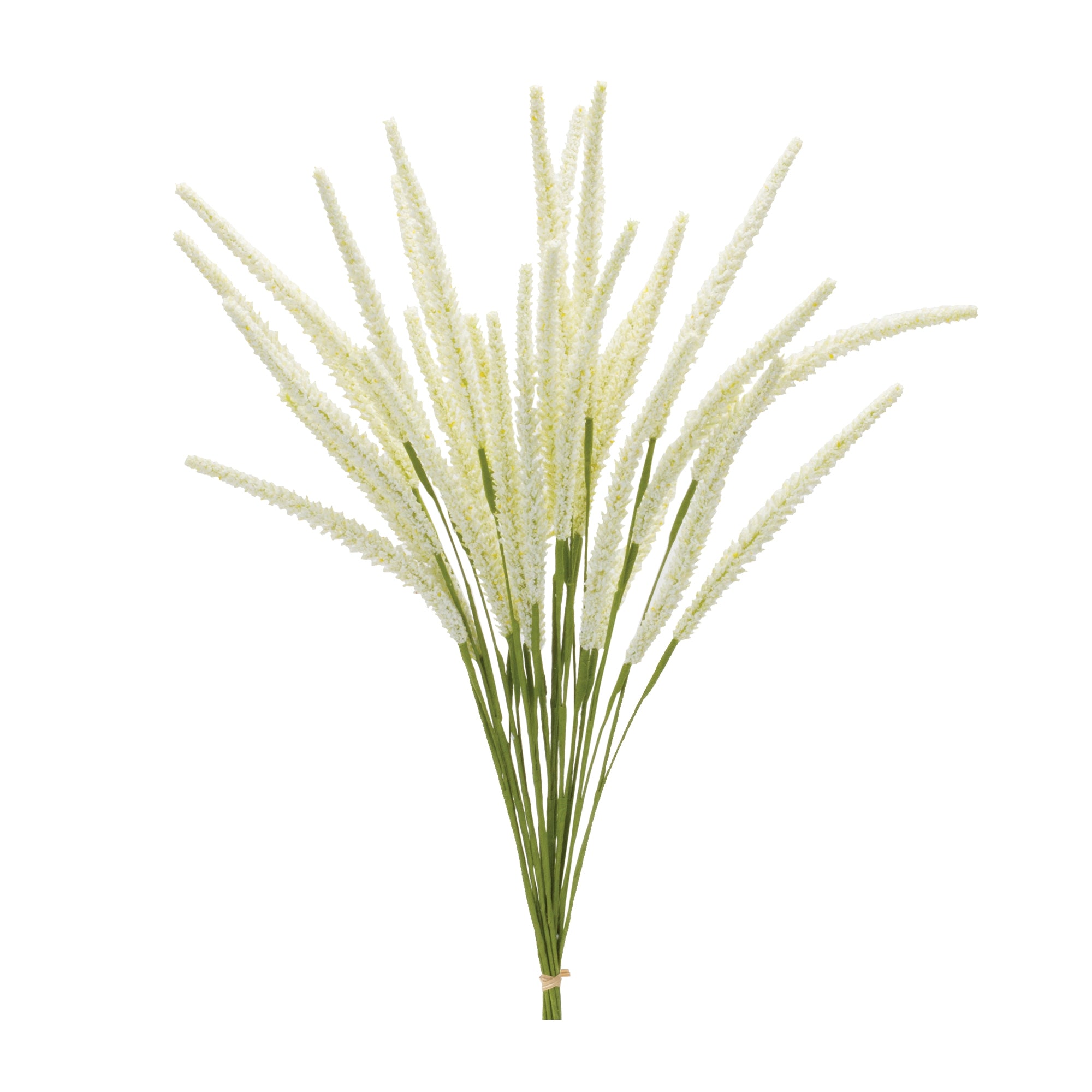 Foxtail Bundle 22”H