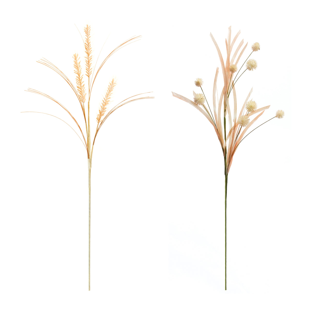 Foxtail and Pod Spray (S/2)
