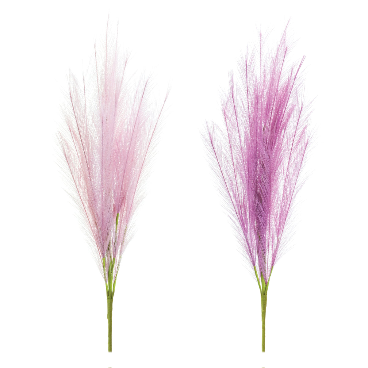 Plume Spray (S/2)