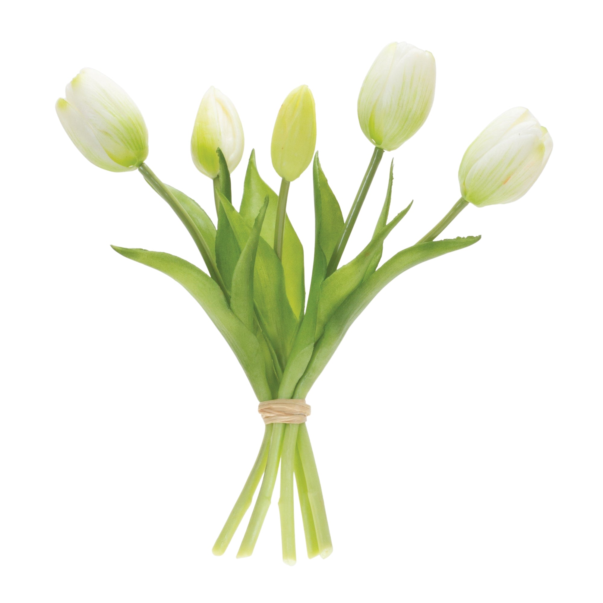 Tulip Bundle 10.5”H