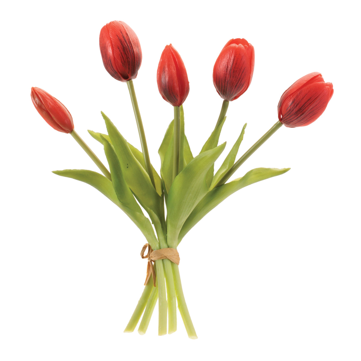Tulip Bundle