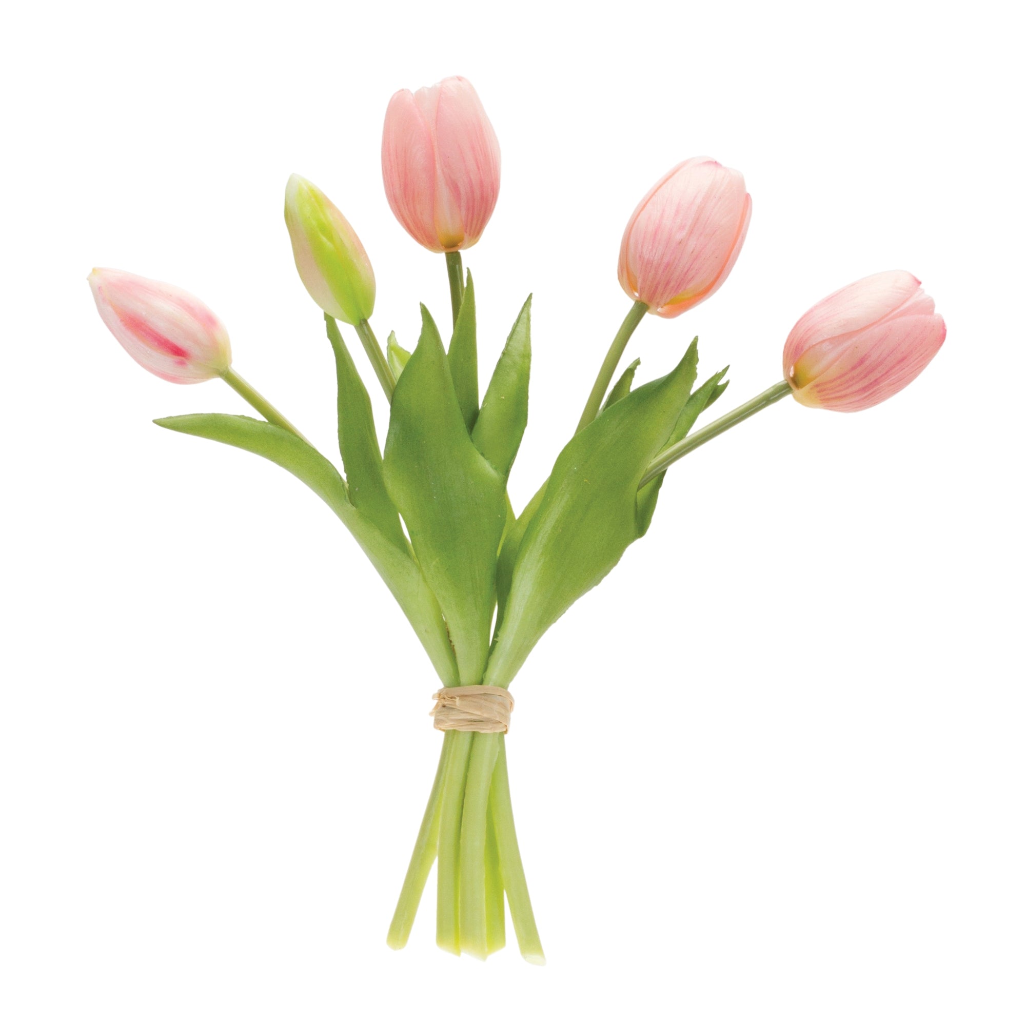 Tulip Bundle 10.5”H