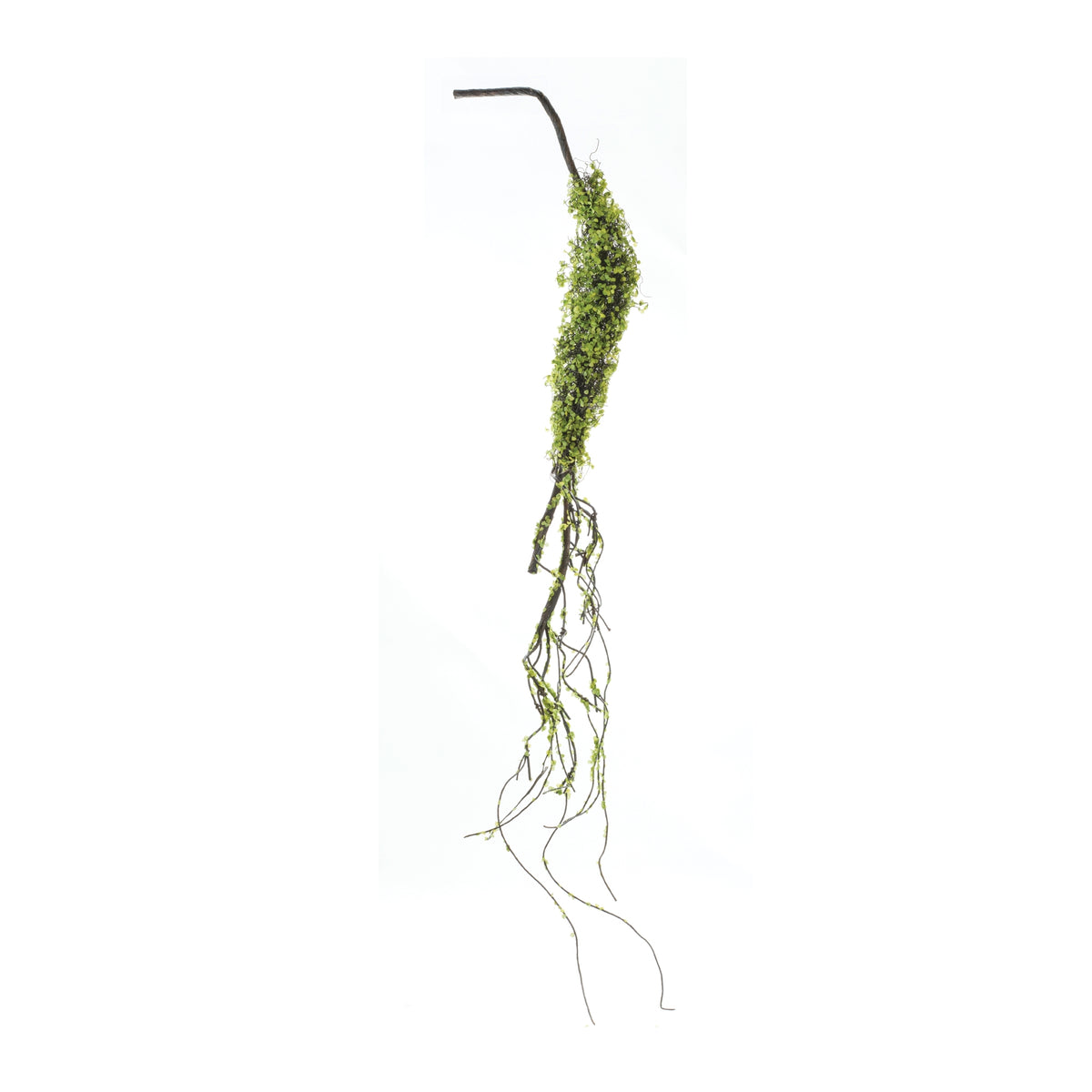 Foliage Vine