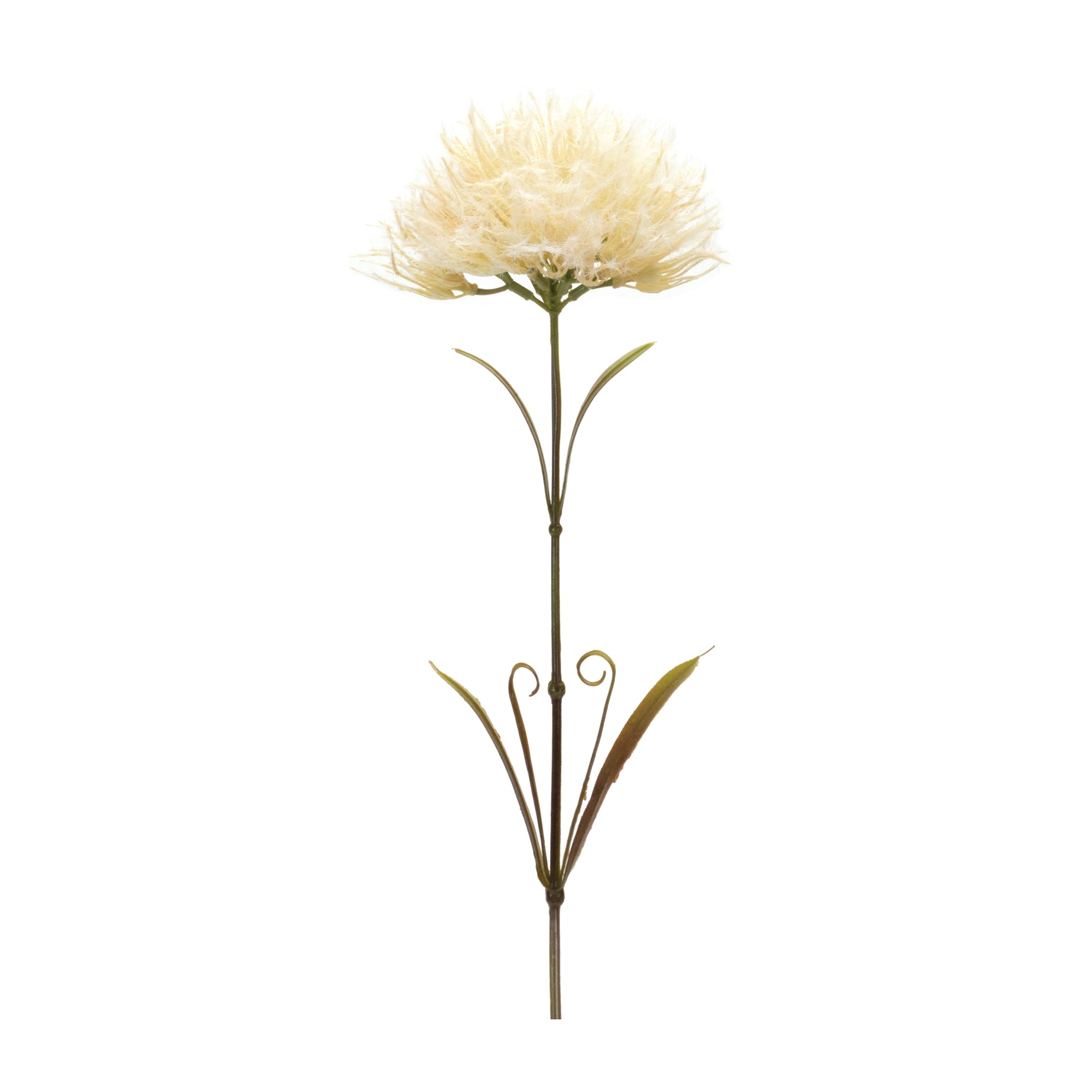 Puff Stem 24”H