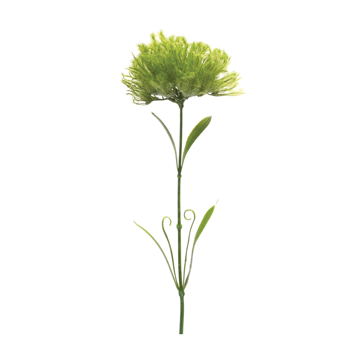 Puff Stem