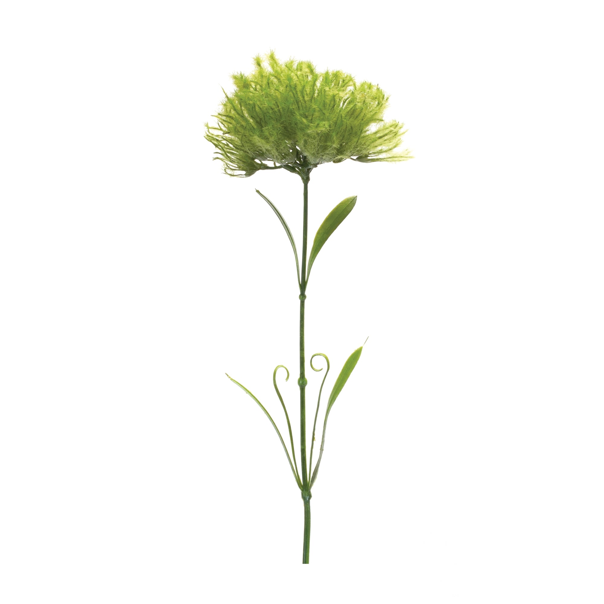 Puff Stem 24”H